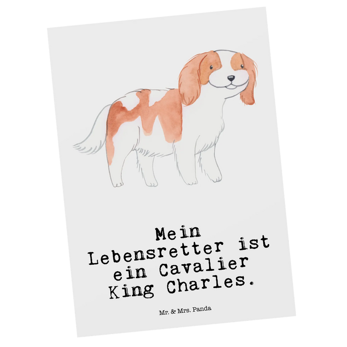 Postkarte Cavalier King Charles Spaniel Lebensretter