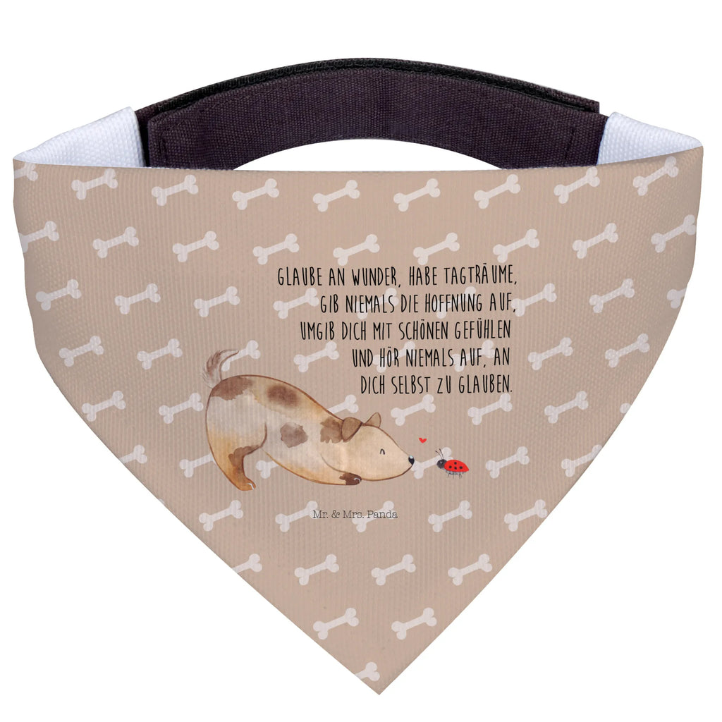 Hundehalstuch Hund Marienkäfer Halstuch Für Kleine Hunde, Hundeschal Bandana, Haustierhalstuch, Hundehalsbändchentuch, Tuch Für Hundehals, Halstuch Für Große Hunde, Hundehalstuch, Bandana, Hundetuch Klassisch, Hundehalstuch Designer, Hundehalstuch Waschbar, Hundehalstuch Für Spaziergang., Halstuch Für Welpen, Bandana Für Kleine Rassen, Halstuch Für Hunde, Bandana Für Hunde, Hundeaccessoire Tuch, Hundetuch Mit Muster, Hundehalstuch Geschenkidee, Hunde-Kopftuch (Varianten), Hundehalstuch Aus Baumwolle, Hundeschal Modern, Bandana Für Welpen, Schal Für Hunde, Halsbandtuch Für Hunde, Hundeschal, Hundehalstuch Aus Polyester, Bandana Für Große Rassen, Hunde-Bandana, Halstuch Hund, Hundetuch, Hunde-Neckerchief, Hundehalstuch Witterungsbeständig, Hundebandana, Hundemotiv, Haustier, Hundebesitzer, Sprüche, Hunderasse, Tierliebhaber, Hund, Mischling, Marienkäfer, Mischlinghund, Hundespruch, Hunde