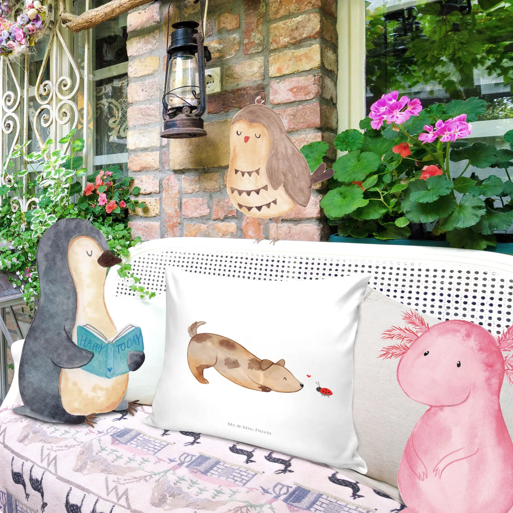 Cushion Dog ladybug microfaser dekokissen, Zierkissen, microfaser kopfkissen, kuschel kissen, 40x40 kissen, wurfkissen, Kopfkissen, kissen 40 x 40, Mikrofaser Kissen, zierkissen 40x40, Motivkissen, Couchkissen, Kissen, Sofakissen 40x40, microfaser sofakissen, kissen für sofa, Dekokissen Sofa, deko kissen, Kopfkissen 40x40, zier kissen, microfaser zierkissen, couchkissen 40x40, Kuschelkissen, kissen mikrofaser, wohnzimmer kissen, kissen für couch, Sofakissen, Polsterkissen, Kissen 40x40, sofa kissen, couch kissen, Dekokissen, 40 X 40 Kissen, kuschelkissen 40x40, Dekokissen 40x40, Hunderasse, Hundebesitzer, Sprüche, Hundemotiv, Haustier, Tierliebhaber, Hund, Hunde, Hundespruch, Marienkäfer, Mischlinghund, Mischling