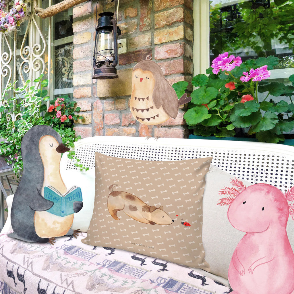 Cushion Dog ladybug microfaser dekokissen, Zierkissen, microfaser kopfkissen, kuschel kissen, 40x40 kissen, wurfkissen, Kopfkissen, kissen 40 x 40, Mikrofaser Kissen, zierkissen 40x40, Motivkissen, Couchkissen, Kissen, Sofakissen 40x40, microfaser sofakissen, kissen für sofa, Dekokissen Sofa, deko kissen, Kopfkissen 40x40, zier kissen, microfaser zierkissen, couchkissen 40x40, Kuschelkissen, kissen mikrofaser, wohnzimmer kissen, kissen für couch, Sofakissen, Polsterkissen, Kissen 40x40, sofa kissen, couch kissen, Dekokissen, 40 X 40 Kissen, kuschelkissen 40x40, Dekokissen 40x40, Hunderasse, Hundebesitzer, Sprüche, Hundemotiv, Haustier, Tierliebhaber, Hund, Hunde, Hundespruch, Marienkäfer, Mischlinghund, Mischling