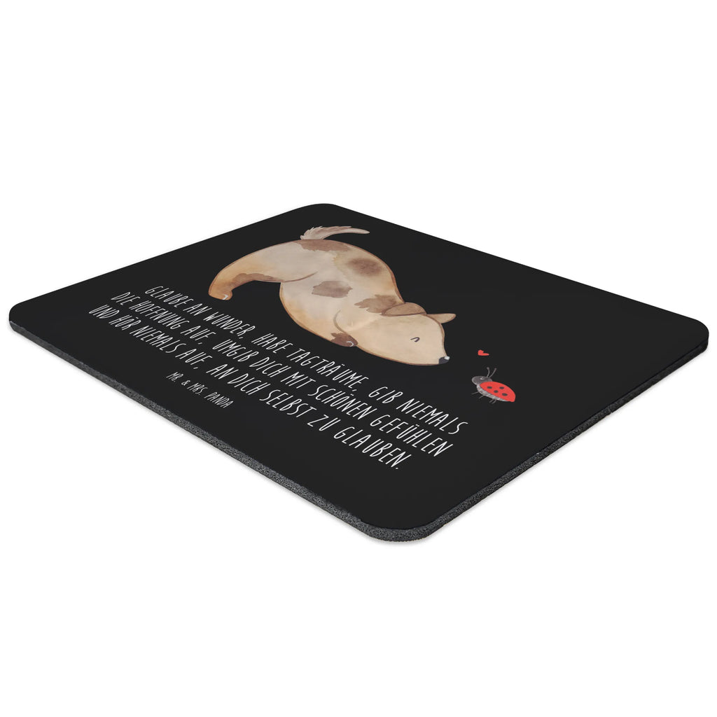 Mouse mat Dog ladybug PC Zubehör, Designer Mauspad, Mausunterlage, Mauspad Büro, Computer zubehör, Mousepad, Büroausstattung, Arbeitszimmer, Mauspad, Einzigartiges Mauspad, Hund, Hundemotiv, Haustier, Hunderasse, Tierliebhaber, Hundebesitzer, Sprüche, Mischling, Mischlinghund, Hunde, Hundespruch, Marienkäfer