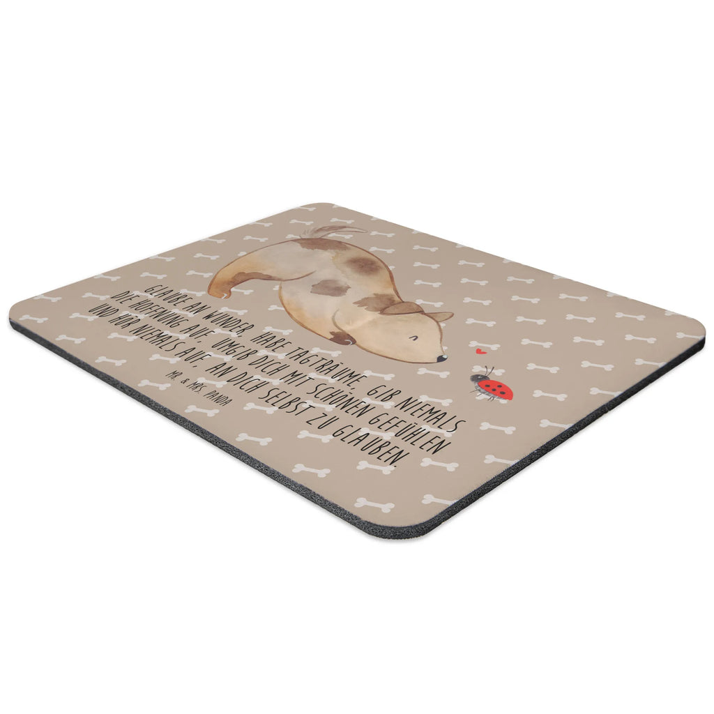 Mouse mat Dog ladybug PC Zubehör, Designer Mauspad, Mausunterlage, Mauspad Büro, Computer zubehör, Mousepad, Büroausstattung, Arbeitszimmer, Mauspad, Einzigartiges Mauspad, Hund, Hundemotiv, Haustier, Hunderasse, Tierliebhaber, Hundebesitzer, Sprüche, Mischling, Mischlinghund, Hunde, Hundespruch, Marienkäfer