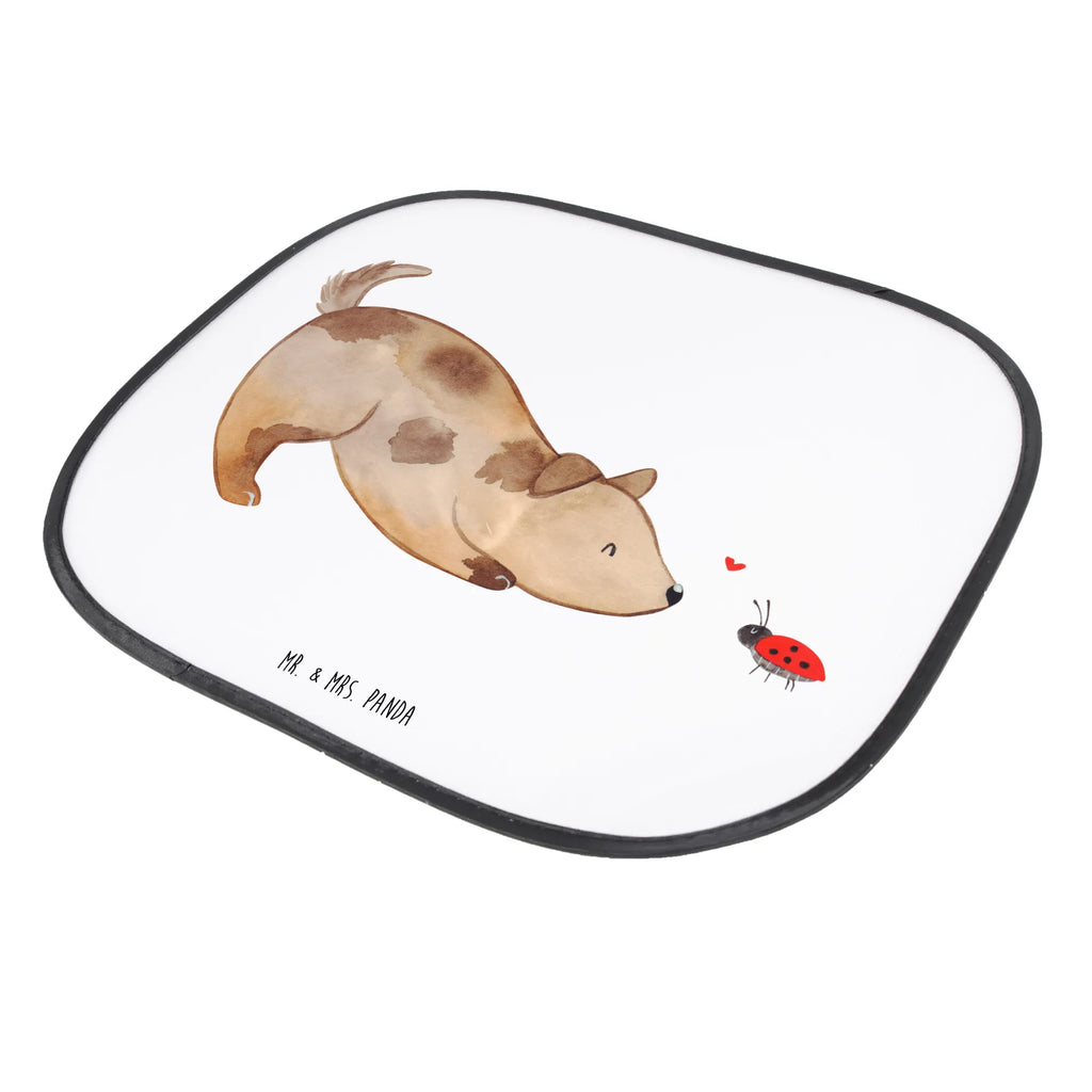 Car sun shade Dog ladybug Sonnenschutz für Autoscheiben, Sonnenblende Auto, Auto Sonnenschutz mit Motiv, Auto Sonnenschutz universal, Auto Sichtschutz, Sonnenschutz Auto Saugnapf, Sonnenschutz Autoscheibe, Sonnenschutz Auto selbsthaftend, Sonnenschutz Auto Frontscheibe, Sonnenschutz Auto mit Fensteröffnung, Auto Sonnenschutzfolie, Sonnenschutz Auto Baby, Sonnenschutz fürs Auto, Auto Sonnenblende, Sonnenschutzfolie Auto, Sonnenschutz Auto Tiere, Sonnenschutz Auto ohne Kleben, Sonnenschutz Auto Kinder, Auto Sonnenschutz klappbar, Kinder Sonnenschutz Auto Fenster, Baby Sonnenschutz Auto Fenster, Auto Sonnenschutz, Sonnenschutz Kinder Auto, Sonnenschutz Auto ohne Saugnapf, Sonnenschutz Auto Heckscheibe, Sonnenschutz Auto Seitenscheibe, Auto Verdunkelung, Sonnenschutz für Auto, Auto Sonnenschutz Reise, Sonnenschutz Auto Fenster, Auto Sonnenschutz UV Schutz, Autoscheiben Sonnenschutz, Sonnenschutz Auto, Autosonnenschutz, Sonnenschutz Baby Auto, Hund, Hundemotiv, Haustier, Hunderasse, Tierliebhaber, Hundebesitzer, Sprüche, Marienkäfer, Hundespruch, Mischling, Mischlinghund, Hunde