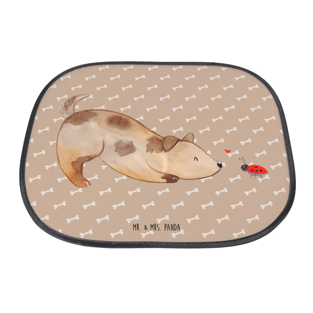 Car sun shade Dog ladybug Sonnenschutz für Autoscheiben, Sonnenblende Auto, Auto Sonnenschutz mit Motiv, Auto Sonnenschutz universal, Auto Sichtschutz, Sonnenschutz Auto Saugnapf, Sonnenschutz Autoscheibe, Sonnenschutz Auto selbsthaftend, Sonnenschutz Auto Frontscheibe, Sonnenschutz Auto mit Fensteröffnung, Auto Sonnenschutzfolie, Sonnenschutz Auto Baby, Sonnenschutz fürs Auto, Auto Sonnenblende, Sonnenschutzfolie Auto, Sonnenschutz Auto Tiere, Sonnenschutz Auto ohne Kleben, Sonnenschutz Auto Kinder, Auto Sonnenschutz klappbar, Kinder Sonnenschutz Auto Fenster, Baby Sonnenschutz Auto Fenster, Auto Sonnenschutz, Sonnenschutz Kinder Auto, Sonnenschutz Auto ohne Saugnapf, Sonnenschutz Auto Heckscheibe, Sonnenschutz Auto Seitenscheibe, Auto Verdunkelung, Sonnenschutz für Auto, Auto Sonnenschutz Reise, Sonnenschutz Auto Fenster, Auto Sonnenschutz UV Schutz, Autoscheiben Sonnenschutz, Sonnenschutz Auto, Autosonnenschutz, Sonnenschutz Baby Auto, Hund, Hundemotiv, Haustier, Hunderasse, Tierliebhaber, Hundebesitzer, Sprüche, Marienkäfer, Hundespruch, Mischling, Mischlinghund, Hunde
