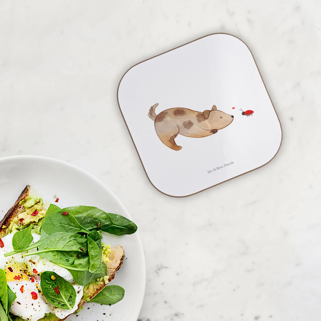 Square coaster Dog ladybug Glasuntersetzer, Untersetzer aus Holz, Tassen Untersetzer, Korkuntersetzer, Untersetzer, Untersetzer Gläser, Holzuntersetzer, Bierdeckel, Getränkeuntersetzer, Untersetzer für Gläser, Untersetzer Holz, Untersetzer Design, Hund, Hundemotiv, Haustier, Hunderasse, Tierliebhaber, Hundebesitzer, Sprüche, Mischling, Hundespruch, Marienkäfer, Hunde, Mischlinghund