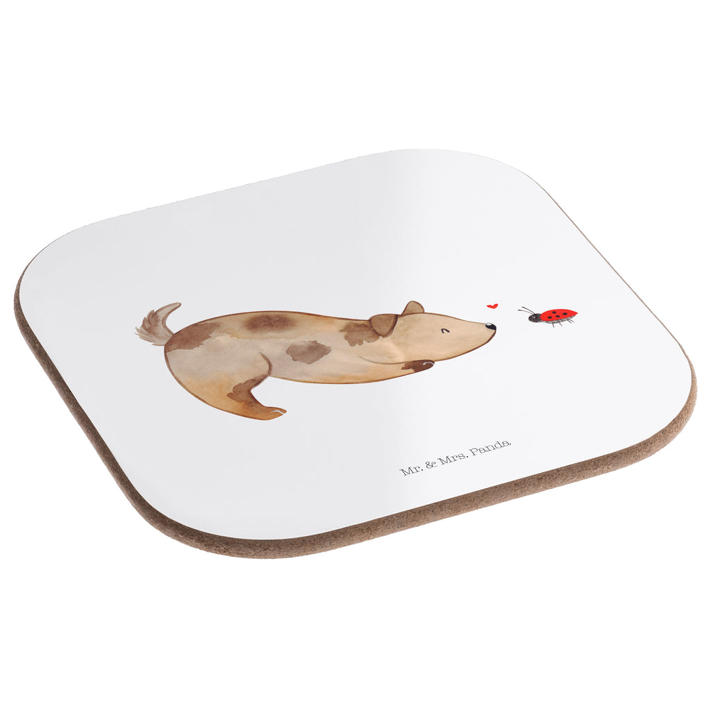 Square coaster Dog ladybug Glasuntersetzer, Untersetzer aus Holz, Tassen Untersetzer, Korkuntersetzer, Untersetzer, Untersetzer Gläser, Holzuntersetzer, Bierdeckel, Getränkeuntersetzer, Untersetzer für Gläser, Untersetzer Holz, Untersetzer Design, Hund, Hundemotiv, Haustier, Hunderasse, Tierliebhaber, Hundebesitzer, Sprüche, Mischling, Hundespruch, Marienkäfer, Hunde, Mischlinghund