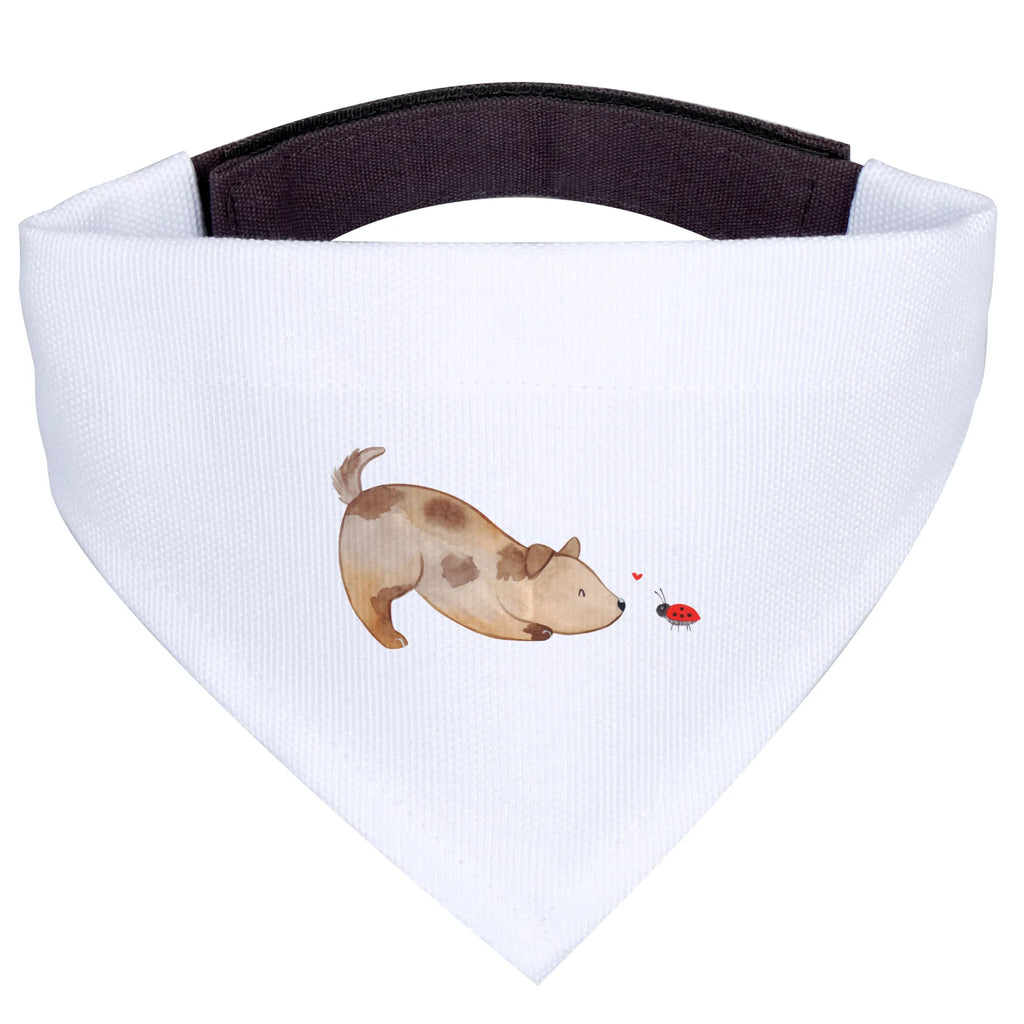 Hundehalstuch Hund Marienkäfer Halstuch Für Kleine Hunde, Hundeschal Bandana, Haustierhalstuch, Hundehalsbändchentuch, Tuch Für Hundehals, Halstuch Für Große Hunde, Hundehalstuch, Bandana, Hundetuch Klassisch, Hundehalstuch Designer, Hundehalstuch Waschbar, Hundehalstuch Für Spaziergang., Halstuch Für Welpen, Bandana Für Kleine Rassen, Halstuch Für Hunde, Bandana Für Hunde, Hundeaccessoire Tuch, Hundetuch Mit Muster, Hundehalstuch Geschenkidee, Hunde-Kopftuch (Varianten), Hundehalstuch Aus Baumwolle, Hundeschal Modern, Bandana Für Welpen, Schal Für Hunde, Halsbandtuch Für Hunde, Hundeschal, Hundehalstuch Aus Polyester, Bandana Für Große Rassen, Hunde-Bandana, Halstuch Hund, Hundetuch, Hunde-Neckerchief, Hundehalstuch Witterungsbeständig, Hundebandana, Hundemotiv, Haustier, Hundebesitzer, Sprüche, Hunderasse, Tierliebhaber, Hund, Mischling, Marienkäfer, Mischlinghund, Hundespruch, Hunde