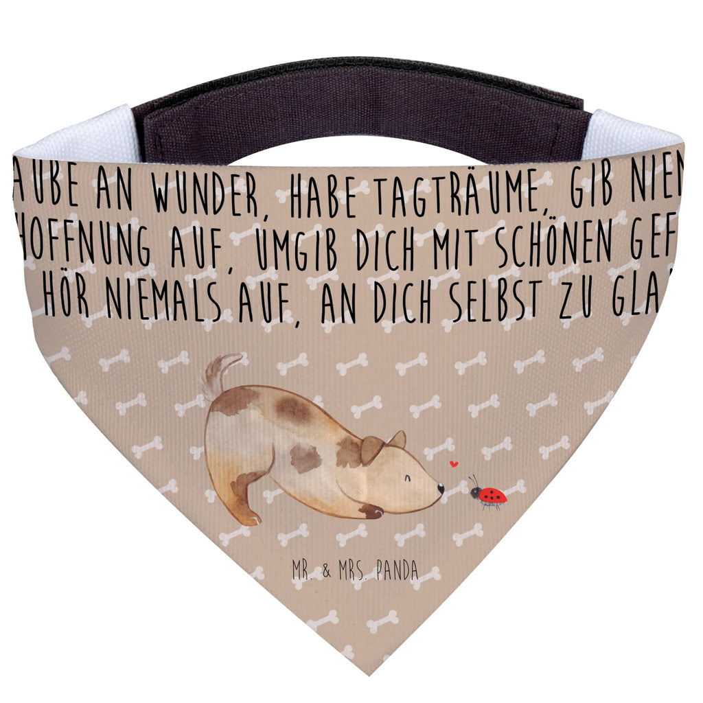 Hundehalstuch Hund Marienkäfer Halstuch Für Kleine Hunde, Hundeschal Bandana, Haustierhalstuch, Hundehalsbändchentuch, Tuch Für Hundehals, Halstuch Für Große Hunde, Hundehalstuch, Bandana, Hundetuch Klassisch, Hundehalstuch Designer, Hundehalstuch Waschbar, Hundehalstuch Für Spaziergang., Halstuch Für Welpen, Bandana Für Kleine Rassen, Halstuch Für Hunde, Bandana Für Hunde, Hundeaccessoire Tuch, Hundetuch Mit Muster, Hundehalstuch Geschenkidee, Hunde-Kopftuch (Varianten), Hundehalstuch Aus Baumwolle, Hundeschal Modern, Bandana Für Welpen, Schal Für Hunde, Halsbandtuch Für Hunde, Hundeschal, Hundehalstuch Aus Polyester, Bandana Für Große Rassen, Hunde-Bandana, Halstuch Hund, Hundetuch, Hunde-Neckerchief, Hundehalstuch Witterungsbeständig, Hundebandana, Hundemotiv, Haustier, Hundebesitzer, Sprüche, Hunderasse, Tierliebhaber, Hund, Mischling, Marienkäfer, Mischlinghund, Hundespruch, Hunde