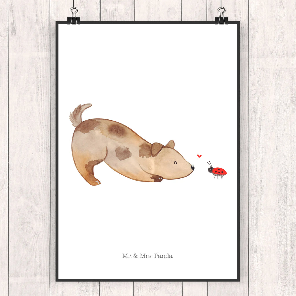 Poster Dog ladybug Kunstdruck, Mr. & Mrs. Panda Poster, Bild für Wand, Wandposter, grafikposter, Wanddekoration, Bild, kunstposter, Poster, Deko Bild, wanddeko, kunstdruck poster, Wandschmuck, Posterdruck, wanddruck, kunst für die wand, drucke, Plakat, Wandbild, Designposter, wandkunst, Wanddeko Bild, Tierliebhaber, Haustier, Hundemotiv, Hundebesitzer, Hunderasse, Hund, Sprüche, Mischling, Hundespruch, Hunde, Marienkäfer, Mischlinghund