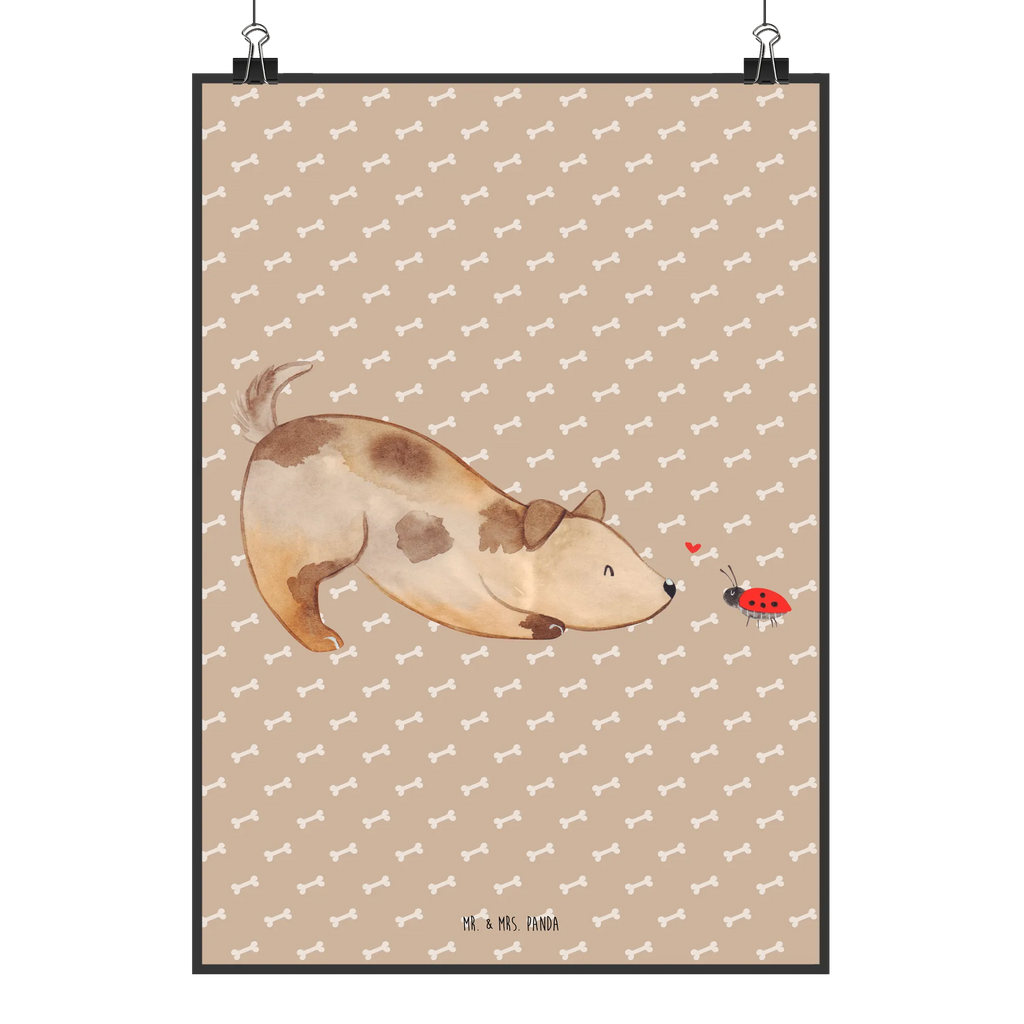 Poster Dog ladybug Kunstdruck, Mr. & Mrs. Panda Poster, Bild für Wand, Wandposter, grafikposter, Wanddekoration, Bild, kunstposter, Poster, Deko Bild, wanddeko, kunstdruck poster, Wandschmuck, Posterdruck, wanddruck, kunst für die wand, drucke, Plakat, Wandbild, Designposter, wandkunst, Wanddeko Bild, Tierliebhaber, Haustier, Hundemotiv, Hundebesitzer, Hunderasse, Hund, Sprüche, Mischling, Hundespruch, Hunde, Marienkäfer, Mischlinghund