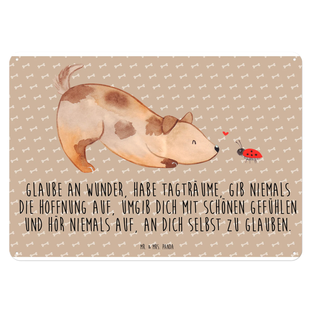 Blechschild Hund Marienkäfer Blechschild Küche, Dekoschild Metall, Blechschild Groß, Wandschild Metall, Blechschild Zum Aufhängen, Blechschild Für Frauen, Blechschild Für Männer, Türschild Metall, Blechschild Büro, Blechschild, Hunderasse, Hundebesitzer, Hund, Haustier, Sprüche, Tierliebhaber, Hundemotiv, Hundespruch, Mischling, Mischlinghund, Marienkäfer, Hunde