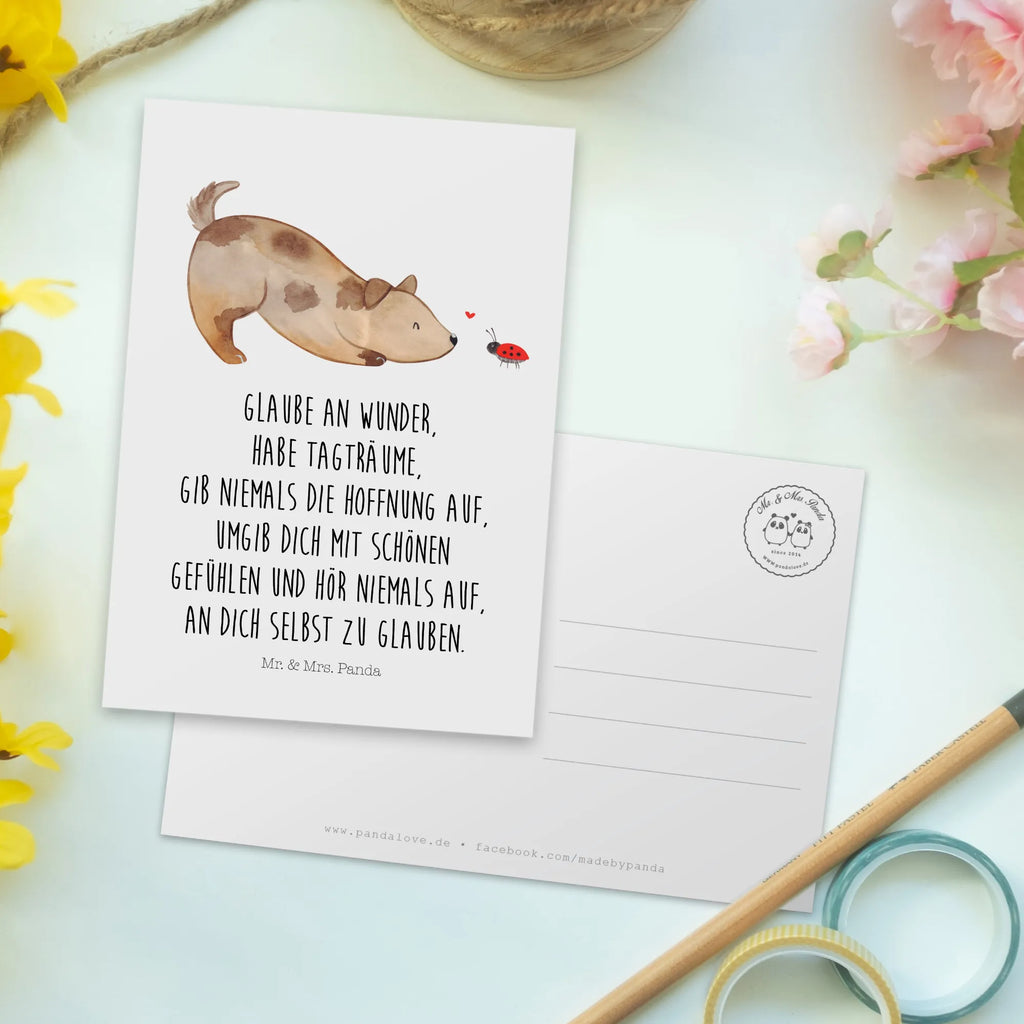 Pocztówka pies biedronka Ansichtskarte, Kunstkarten, Designkarte, Fotokarte, einzelkarte, Grußkarte, Motivkarte, Ansichtskarten, kunstkarte, spruchkarte, bildkarte, Postkarte, Postkarten, Sprüche, Tierliebhaber, Hundemotiv, Hundebesitzer, Hunderasse, Haustier, Hund, Marienkäfer, Mischlinghund, Hundespruch, Hunde, Mischling