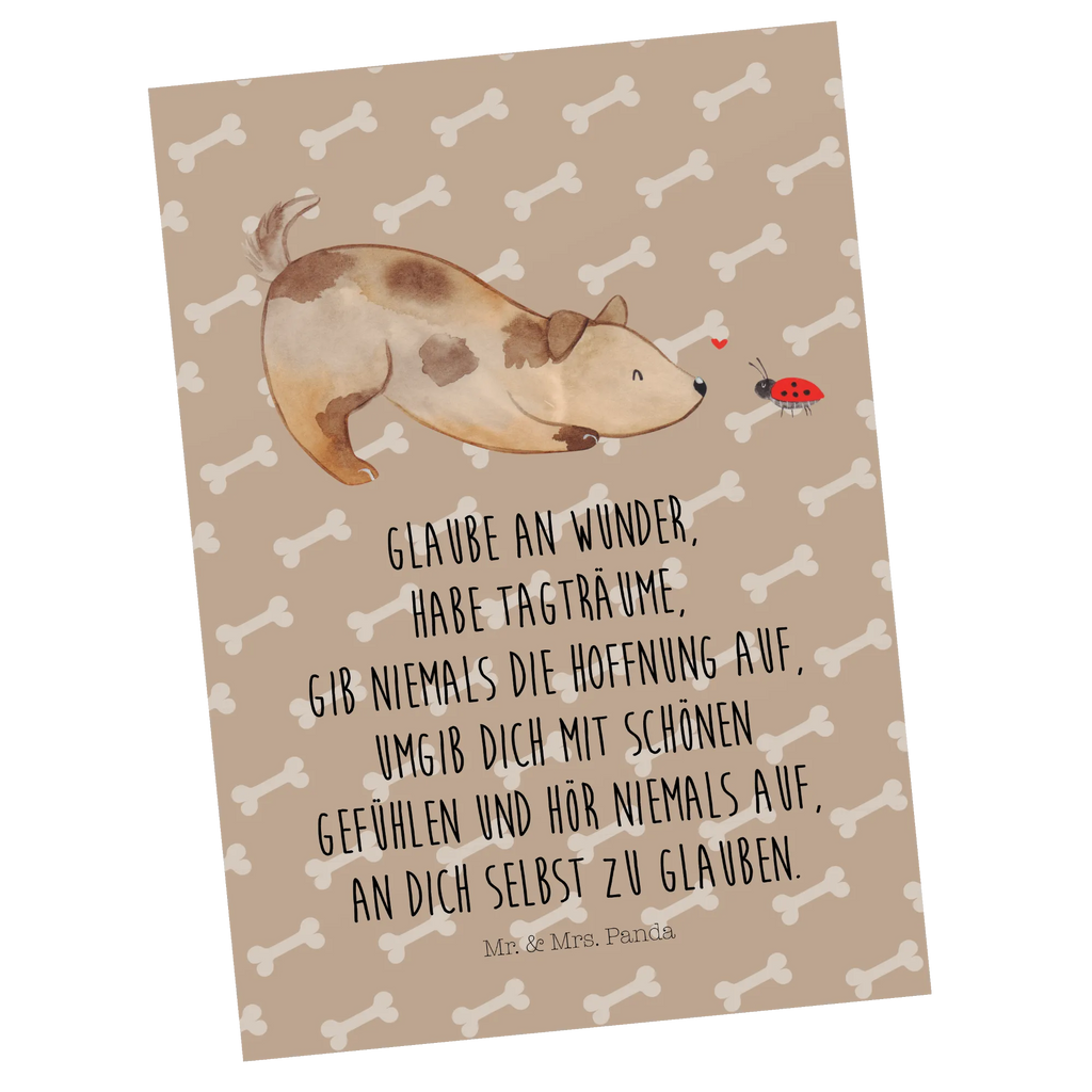 Pocztówka pies biedronka Ansichtskarte, Kunstkarten, Designkarte, Fotokarte, einzelkarte, Grußkarte, Motivkarte, Ansichtskarten, kunstkarte, spruchkarte, bildkarte, Postkarte, Postkarten, Sprüche, Tierliebhaber, Hundemotiv, Hundebesitzer, Hunderasse, Haustier, Hund, Marienkäfer, Mischlinghund, Hundespruch, Hunde, Mischling