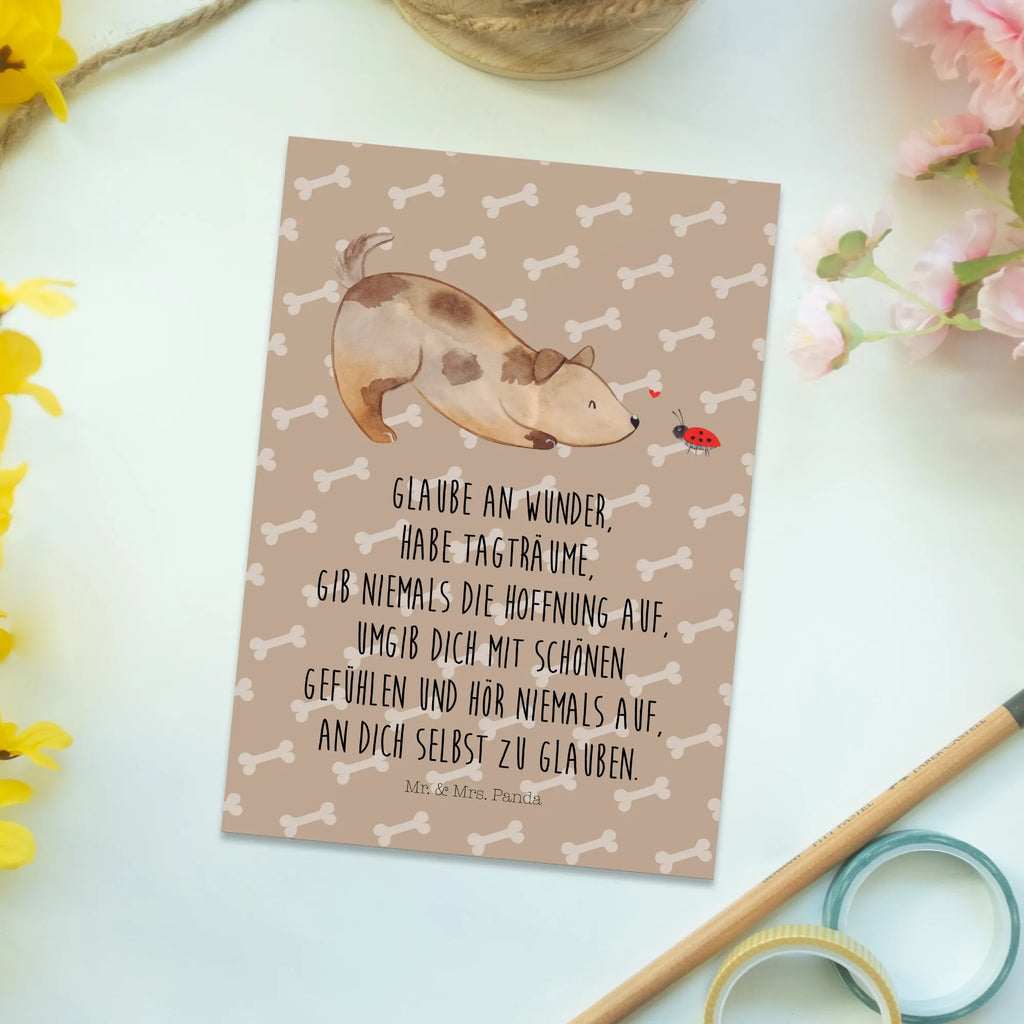 Pocztówka pies biedronka Ansichtskarte, Kunstkarten, Designkarte, Fotokarte, einzelkarte, Grußkarte, Motivkarte, Ansichtskarten, kunstkarte, spruchkarte, bildkarte, Postkarte, Postkarten, Sprüche, Tierliebhaber, Hundemotiv, Hundebesitzer, Hunderasse, Haustier, Hund, Marienkäfer, Mischlinghund, Hundespruch, Hunde, Mischling