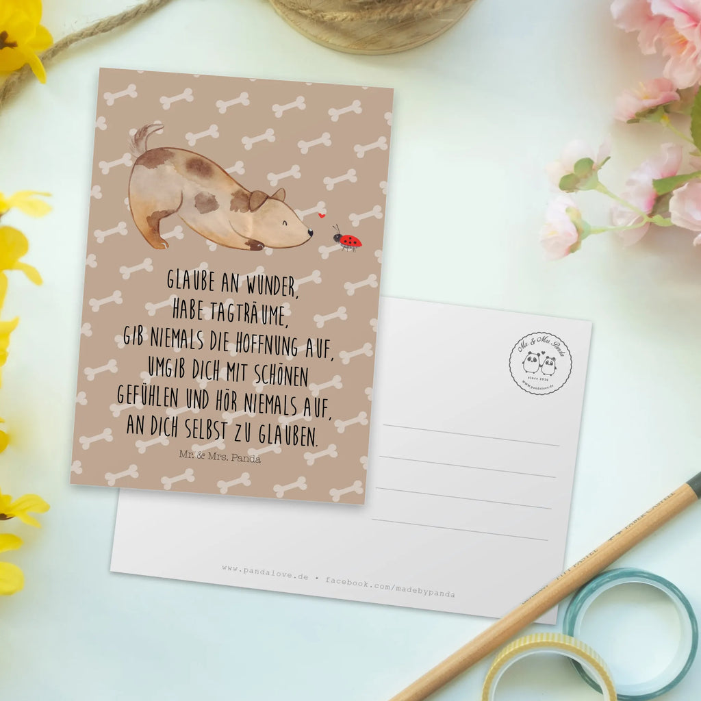 Pocztówka pies biedronka Ansichtskarte, Kunstkarten, Designkarte, Fotokarte, einzelkarte, Grußkarte, Motivkarte, Ansichtskarten, kunstkarte, spruchkarte, bildkarte, Postkarte, Postkarten, Sprüche, Tierliebhaber, Hundemotiv, Hundebesitzer, Hunderasse, Haustier, Hund, Marienkäfer, Mischlinghund, Hundespruch, Hunde, Mischling