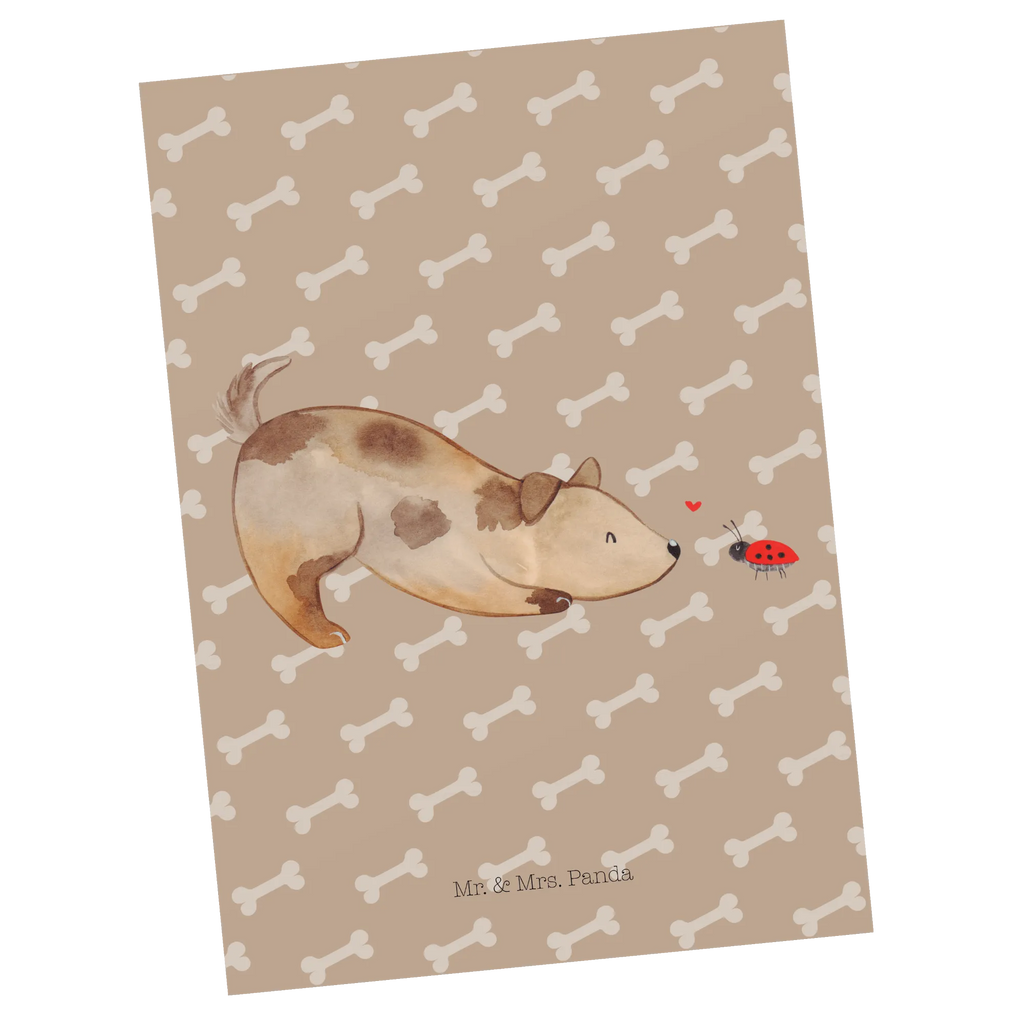 Pocztówka pies biedronka Ansichtskarte, Kunstkarten, Designkarte, Fotokarte, einzelkarte, Grußkarte, Motivkarte, Ansichtskarten, kunstkarte, spruchkarte, bildkarte, Postkarte, Postkarten, Sprüche, Tierliebhaber, Hundemotiv, Hundebesitzer, Hunderasse, Haustier, Hund, Marienkäfer, Mischlinghund, Hundespruch, Hunde, Mischling