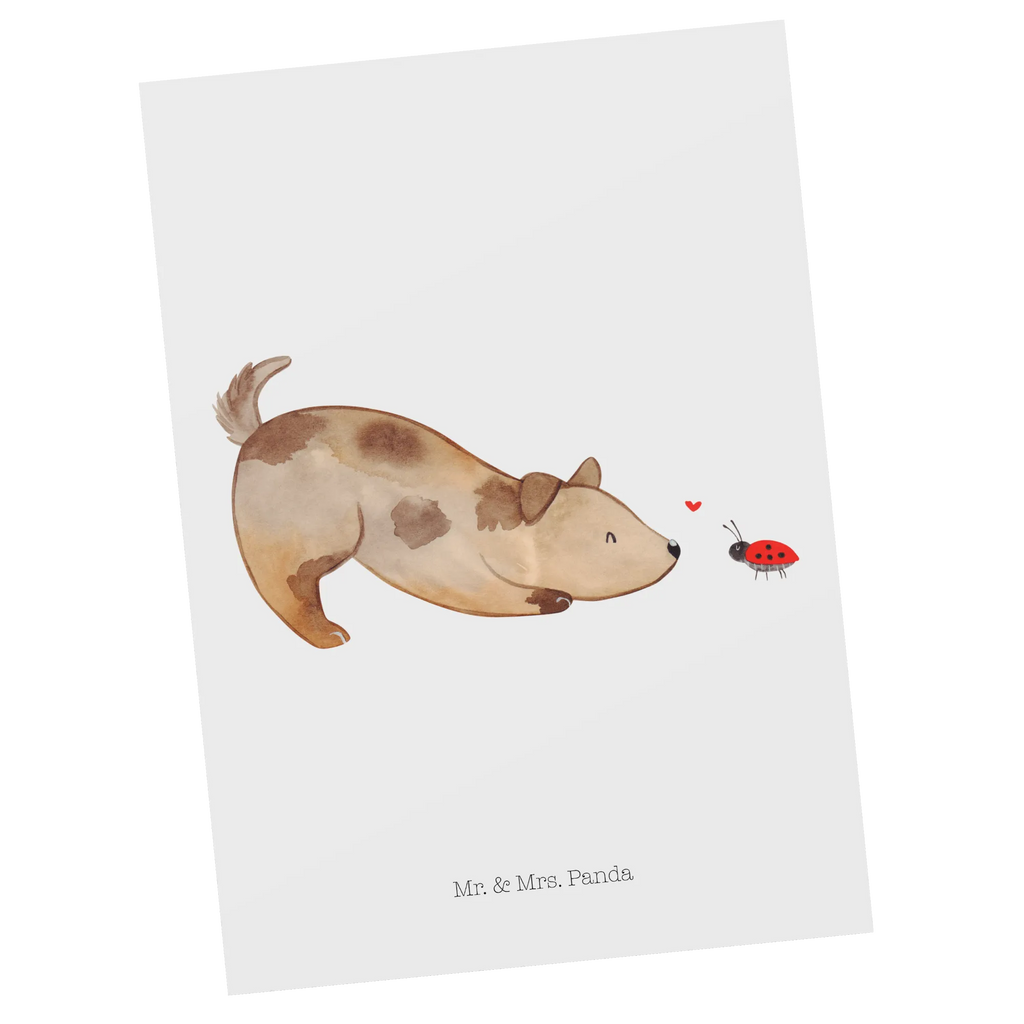 Pocztówka pies biedronka Ansichtskarte, Kunstkarten, Designkarte, Fotokarte, einzelkarte, Grußkarte, Motivkarte, Ansichtskarten, kunstkarte, spruchkarte, bildkarte, Postkarte, Postkarten, Sprüche, Tierliebhaber, Hundemotiv, Hundebesitzer, Hunderasse, Haustier, Hund, Marienkäfer, Mischlinghund, Hundespruch, Hunde, Mischling