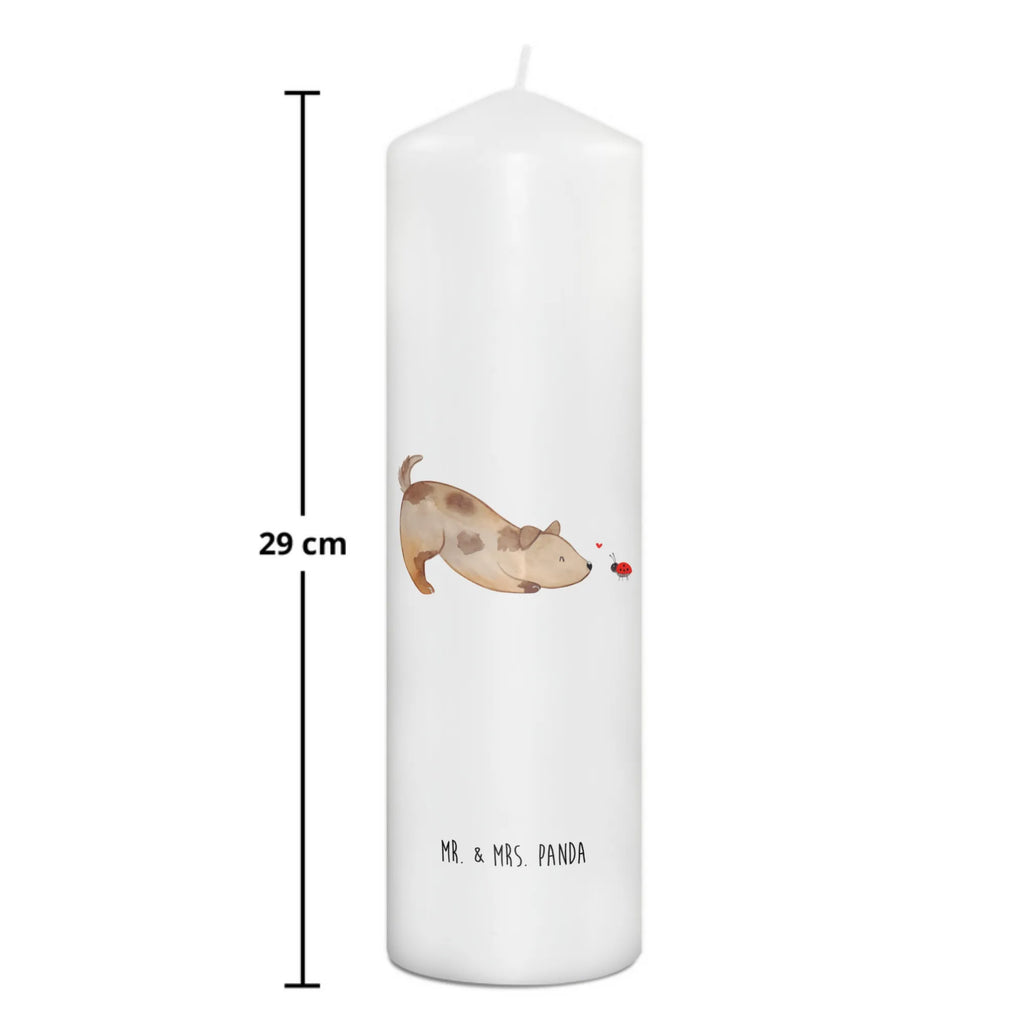 Candle Dog ladybug Osterkerze, Adventskerze, Bedruckte Kerze, Kerze Mit Spruch, Laternenkerze, Dekokerze, Wachskerze, Tafelkerze, Hochzeitskerze, Gartenkerze, Zylinderkerze, Weihnachtskerze, Handgemachte Kerze, Grosse Kerze, Erinnerungslicht, Kerze Mit Motiv, Stumpenkerze, Wunschkerze, Erinnerungskerze, Tischkerze, Geburtskerze, Dinnerkerze, Blockkerze, Kommunionskerze, Geburtstagskerze, Dekorative Kerze, Schmuckkerze, Sprüche, Hunderasse, Hundebesitzer, Hundemotiv, Hund, Haustier, Tierliebhaber, Marienkäfer, Mischlinghund, Mischling, Hundespruch, Hunde