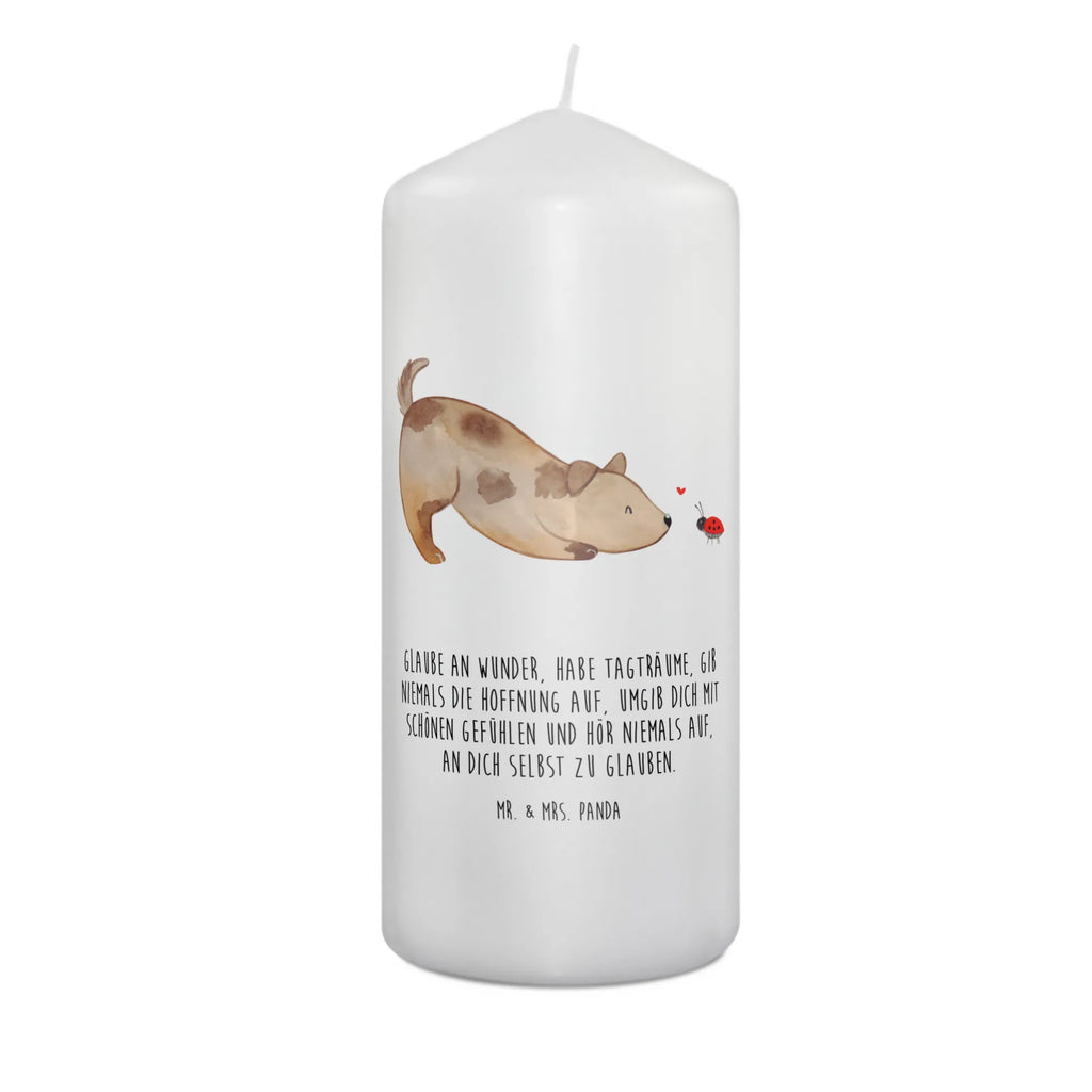 Candle Dog ladybug Osterkerze, Adventskerze, Bedruckte Kerze, Kerze Mit Spruch, Laternenkerze, Dekokerze, Wachskerze, Tafelkerze, Hochzeitskerze, Gartenkerze, Zylinderkerze, Weihnachtskerze, Handgemachte Kerze, Grosse Kerze, Erinnerungslicht, Kerze Mit Motiv, Stumpenkerze, Wunschkerze, Erinnerungskerze, Tischkerze, Geburtskerze, Dinnerkerze, Blockkerze, Kommunionskerze, Geburtstagskerze, Dekorative Kerze, Schmuckkerze, Sprüche, Hunderasse, Hundebesitzer, Hundemotiv, Hund, Haustier, Tierliebhaber, Marienkäfer, Mischlinghund, Mischling, Hundespruch, Hunde