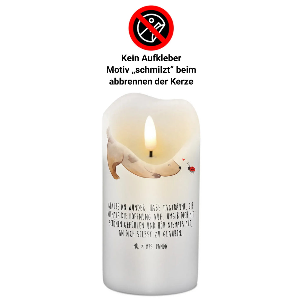 Candle Dog ladybug Osterkerze, Adventskerze, Bedruckte Kerze, Kerze Mit Spruch, Laternenkerze, Dekokerze, Wachskerze, Tafelkerze, Hochzeitskerze, Gartenkerze, Zylinderkerze, Weihnachtskerze, Handgemachte Kerze, Grosse Kerze, Erinnerungslicht, Kerze Mit Motiv, Stumpenkerze, Wunschkerze, Erinnerungskerze, Tischkerze, Geburtskerze, Dinnerkerze, Blockkerze, Kommunionskerze, Geburtstagskerze, Dekorative Kerze, Schmuckkerze, Sprüche, Hunderasse, Hundebesitzer, Hundemotiv, Hund, Haustier, Tierliebhaber, Marienkäfer, Mischlinghund, Mischling, Hundespruch, Hunde