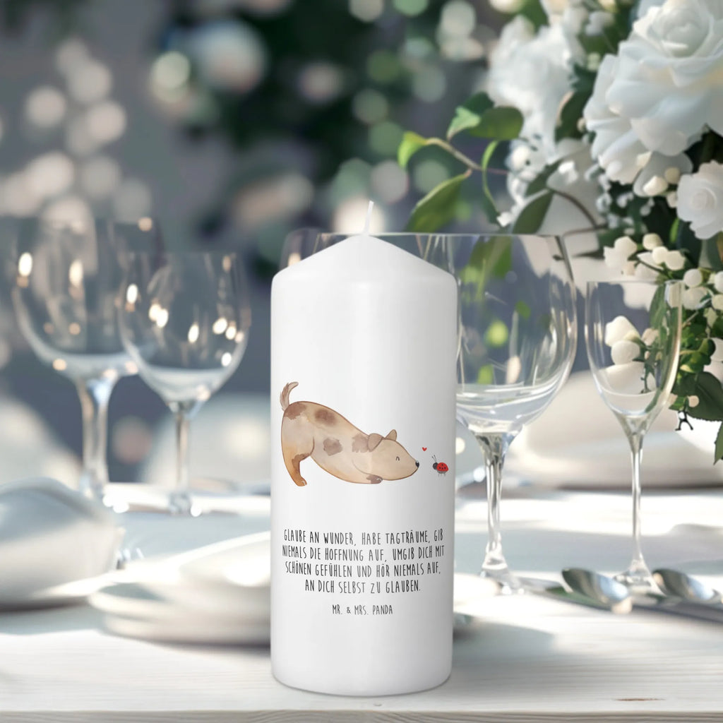 Candle Dog ladybug Osterkerze, Adventskerze, Bedruckte Kerze, Kerze Mit Spruch, Laternenkerze, Dekokerze, Wachskerze, Tafelkerze, Hochzeitskerze, Gartenkerze, Zylinderkerze, Weihnachtskerze, Handgemachte Kerze, Grosse Kerze, Erinnerungslicht, Kerze Mit Motiv, Stumpenkerze, Wunschkerze, Erinnerungskerze, Tischkerze, Geburtskerze, Dinnerkerze, Blockkerze, Kommunionskerze, Geburtstagskerze, Dekorative Kerze, Schmuckkerze, Sprüche, Hunderasse, Hundebesitzer, Hundemotiv, Hund, Haustier, Tierliebhaber, Marienkäfer, Mischlinghund, Mischling, Hundespruch, Hunde