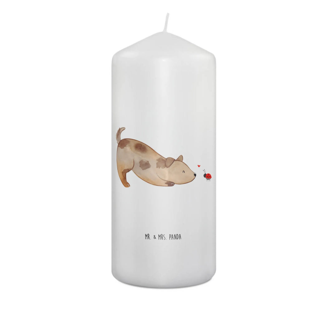 Candle Dog ladybug Osterkerze, Adventskerze, Bedruckte Kerze, Kerze Mit Spruch, Laternenkerze, Dekokerze, Wachskerze, Tafelkerze, Hochzeitskerze, Gartenkerze, Zylinderkerze, Weihnachtskerze, Handgemachte Kerze, Grosse Kerze, Erinnerungslicht, Kerze Mit Motiv, Stumpenkerze, Wunschkerze, Erinnerungskerze, Tischkerze, Geburtskerze, Dinnerkerze, Blockkerze, Kommunionskerze, Geburtstagskerze, Dekorative Kerze, Schmuckkerze, Sprüche, Hunderasse, Hundebesitzer, Hundemotiv, Hund, Haustier, Tierliebhaber, Marienkäfer, Mischlinghund, Mischling, Hundespruch, Hunde