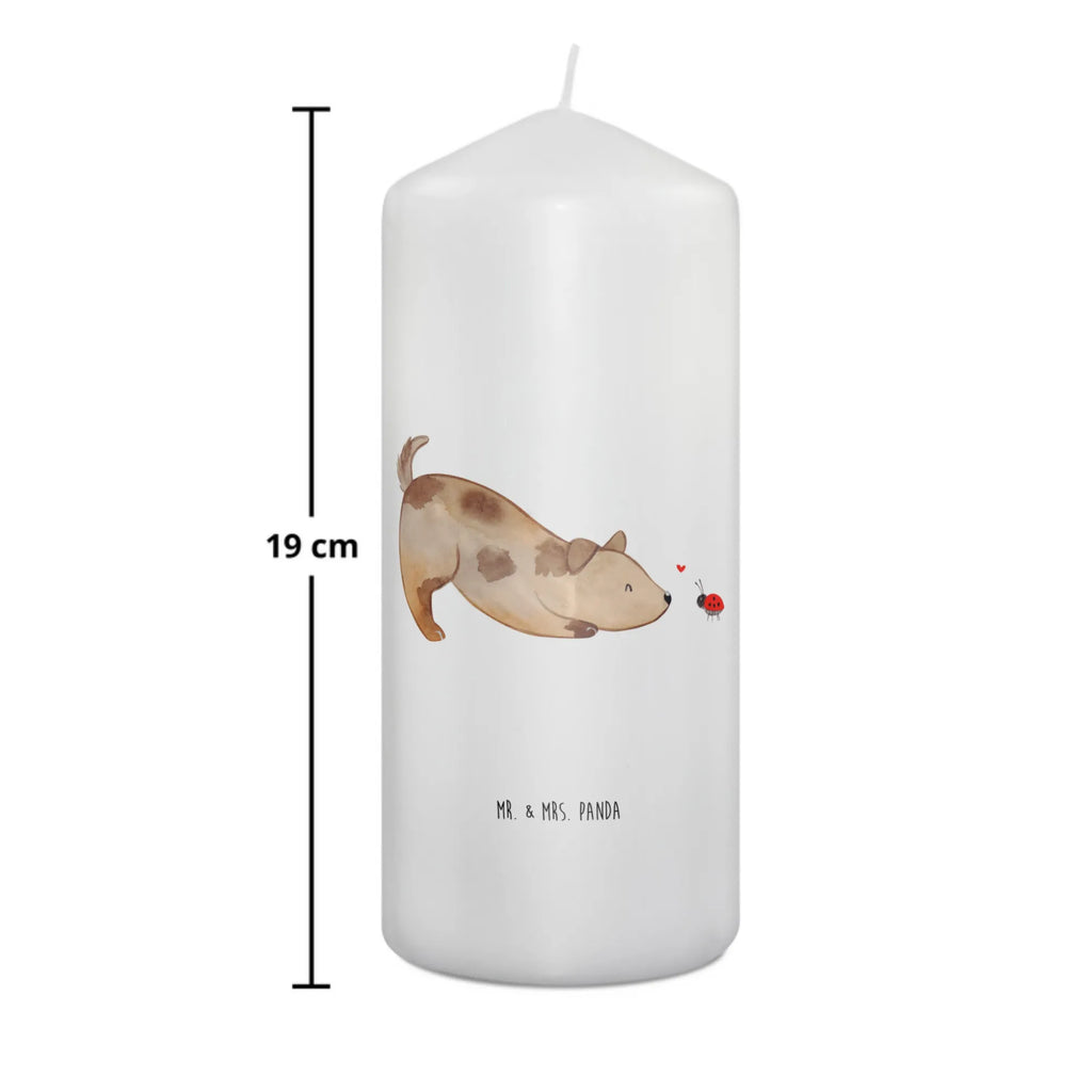 Candle Dog ladybug Osterkerze, Adventskerze, Bedruckte Kerze, Kerze Mit Spruch, Laternenkerze, Dekokerze, Wachskerze, Tafelkerze, Hochzeitskerze, Gartenkerze, Zylinderkerze, Weihnachtskerze, Handgemachte Kerze, Grosse Kerze, Erinnerungslicht, Kerze Mit Motiv, Stumpenkerze, Wunschkerze, Erinnerungskerze, Tischkerze, Geburtskerze, Dinnerkerze, Blockkerze, Kommunionskerze, Geburtstagskerze, Dekorative Kerze, Schmuckkerze, Sprüche, Hunderasse, Hundebesitzer, Hundemotiv, Hund, Haustier, Tierliebhaber, Marienkäfer, Mischlinghund, Mischling, Hundespruch, Hunde