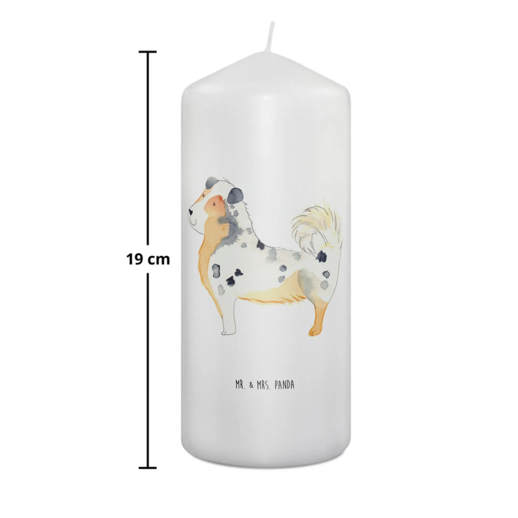 Kerze Hund Australien Shepherd Erinnerungslicht, Stumpenkerze, Zylinderkerze, Osterkerze, Kerze Mit Motiv, Schmuckkerze, Kommunionskerze, Blockkerze, Dekokerze, Wachskerze, Grosse Kerze, Hochzeitskerze, Gartenkerze, Weihnachtskerze, Dinnerkerze, Bedruckte Kerze, Wunschkerze, Laternenkerze, Kerze Mit Spruch, Geburtskerze, Geburtstagskerze, Handgemachte Kerze, Dekorative Kerze, Tischkerze, Tafelkerze, Erinnerungskerze, Adventskerze, Sprüche, Hunderasse, Hundebesitzer, Hundemotiv, Hund, Haustier, Tierliebhaber, Shepherd, Australien Shepherd, Hundeliebe, Familienhund, Spruch
