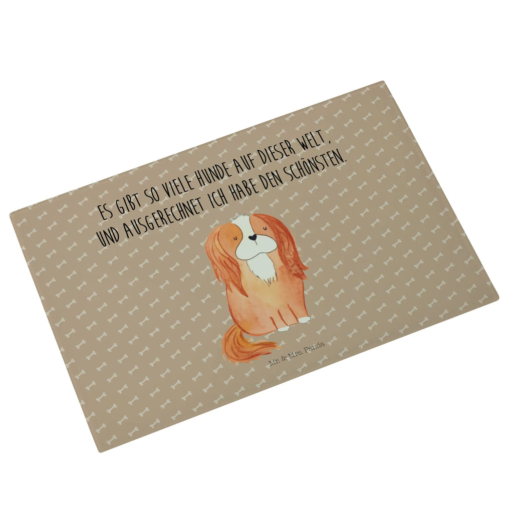 Glasschneidebrett Hund Cavalier King Charles Spaniel Glas Schneidbrett, Glasschneidebrett Groß, Glasbrett Küche, Glasschneidebrett Für Haushalt, Glasschneidebrett Klein, Glasplatte Schneidebrett, Schneidebrett Modern, Schneidebrett Robust, Schneidebrett Aus Glas, Küchenbrett Glas, Glasschneidebrett Hitzebeständig, Schneidebrett Transparent, Schneidebrett Glas Motiv, Glas Küchenbrett, Schneidplatte Glas, Glasschneidebrett Rutschfest, Schneidebrett Spülmaschinenfest, Schneidebrett Hygienisch, Glasbrett Rechteckig, Glas Schneideplatte, Glasschneidebrett, Küchenzubehör Glas, Schneidebrett Aus Sicherheitsglas, Schneideplatte Für Küche, Arbeitsplatte Glas, Schneidebrett Glas Transparent, Glasschneidebrett Für Fleisch, Glasschneidebrett Für Gemüse, Glasschneidebrett Dekorativ, Schneidebrett Design Glas, Küchenhelfer Glas, Schneidebrett Elegant, Küchenunterlage Glas, Glasbrett Rund, Schneideunterlage Glas, Glasschneidebrett Für Käse, Glasschneideplatte Rutschfest, Hunderasse, Hundebesitzer, Tierliebhaber, Haustier, Sprüche, Hundemotiv, Hund, Cockerspaniel, Spruch, Cavalier King Charles Spaniel, Schönster Hund, Spaniel