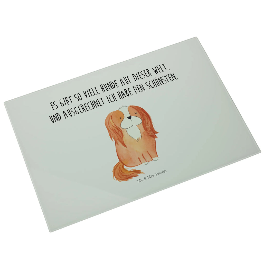 Glasschneidebrett Hund Cavalier King Charles Spaniel Glas Schneidbrett, Glasschneidebrett Groß, Glasbrett Küche, Glasschneidebrett Für Haushalt, Glasschneidebrett Klein, Glasplatte Schneidebrett, Schneidebrett Modern, Schneidebrett Robust, Schneidebrett Aus Glas, Küchenbrett Glas, Glasschneidebrett Hitzebeständig, Schneidebrett Transparent, Schneidebrett Glas Motiv, Glas Küchenbrett, Schneidplatte Glas, Glasschneidebrett Rutschfest, Schneidebrett Spülmaschinenfest, Schneidebrett Hygienisch, Glasbrett Rechteckig, Glas Schneideplatte, Glasschneidebrett, Küchenzubehör Glas, Schneidebrett Aus Sicherheitsglas, Schneideplatte Für Küche, Arbeitsplatte Glas, Schneidebrett Glas Transparent, Glasschneidebrett Für Fleisch, Glasschneidebrett Für Gemüse, Glasschneidebrett Dekorativ, Schneidebrett Design Glas, Küchenhelfer Glas, Schneidebrett Elegant, Küchenunterlage Glas, Glasbrett Rund, Schneideunterlage Glas, Glasschneidebrett Für Käse, Glasschneideplatte Rutschfest, Hunderasse, Hundebesitzer, Tierliebhaber, Haustier, Sprüche, Hundemotiv, Hund, Cockerspaniel, Spruch, Cavalier King Charles Spaniel, Schönster Hund, Spaniel