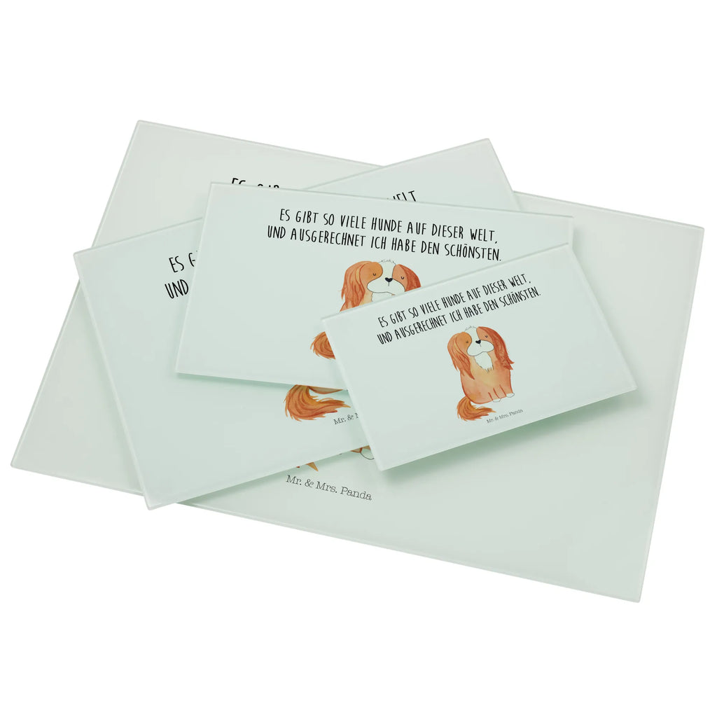 Glasschneidebrett Hund Cavalier King Charles Spaniel Glas Schneidbrett, Glasschneidebrett Groß, Glasbrett Küche, Glasschneidebrett Für Haushalt, Glasschneidebrett Klein, Glasplatte Schneidebrett, Schneidebrett Modern, Schneidebrett Robust, Schneidebrett Aus Glas, Küchenbrett Glas, Glasschneidebrett Hitzebeständig, Schneidebrett Transparent, Schneidebrett Glas Motiv, Glas Küchenbrett, Schneidplatte Glas, Glasschneidebrett Rutschfest, Schneidebrett Spülmaschinenfest, Schneidebrett Hygienisch, Glasbrett Rechteckig, Glas Schneideplatte, Glasschneidebrett, Küchenzubehör Glas, Schneidebrett Aus Sicherheitsglas, Schneideplatte Für Küche, Arbeitsplatte Glas, Schneidebrett Glas Transparent, Glasschneidebrett Für Fleisch, Glasschneidebrett Für Gemüse, Glasschneidebrett Dekorativ, Schneidebrett Design Glas, Küchenhelfer Glas, Schneidebrett Elegant, Küchenunterlage Glas, Glasbrett Rund, Schneideunterlage Glas, Glasschneidebrett Für Käse, Glasschneideplatte Rutschfest, Hunderasse, Hundebesitzer, Tierliebhaber, Haustier, Sprüche, Hundemotiv, Hund, Cockerspaniel, Spruch, Cavalier King Charles Spaniel, Schönster Hund, Spaniel