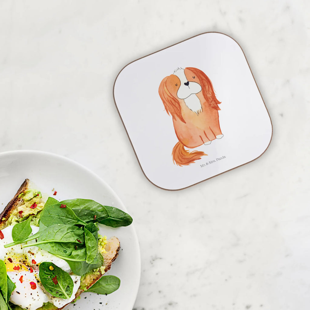 Square coaster Dog Cavalier King Charles Spaniel deko untersetzer, Tischuntersetzer, Holzuntersetzer, Untersetzer Kaffee, bieruntersetzer, Getränkeuntersetzer, Untersetzer, Becheruntersetzer, hartfaser untersetzer, Untersetzer Tasse, hartfaseruntersetzer, weinglasuntersetzer, esstisch untersetzer, Untersetzer Tee, gläseruntersetzer, unterleger, grill untersetzer, schutzuntersetzer, Teeuntersetzer, Coaster, Untersetzer Quadratisch, Untersetzer für Gläser, Glasuntersetzer, Tassenuntersetzer, Untersetzer Gläser, Kaffeeuntersetzer, eckiger untersetzer, garten untersetzer, Baruntersetzer, party untersetzer, Untersetzer Glas, Tischschoner, Flaschenuntersetzer, Quadratischer Untersetzer, weinuntersetzer, weinflaschenuntersetzer, bar untersetzer, Design Untersetzer, Tassen Untersetzer, Sprüche, Hund, Hunderasse, Hundebesitzer, Hundemotiv, Haustier, Tierliebhaber, Schönster Hund, Spaniel, Spruch, Cockerspaniel, Cavalier King Charles Spaniel