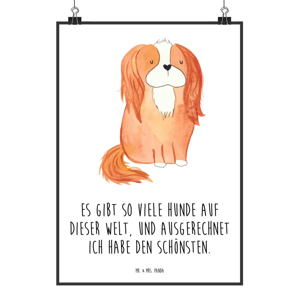 Plakat pies Cavalier King Charles Spaniel Wandposter, wandkunst, Kunstdruck, kunst für die wand, Wanddeko Bild, Posterdruck, Wandbild, wanddeko, Mr. & Mrs. Panda Poster, Bild für Wand, Plakat, wanddruck, grafikposter, kunstdruck poster, Designposter, kunstposter, drucke, Wandschmuck, Bild, Poster, Deko Bild, Wanddekoration, Tierliebhaber, Haustier, Hundemotiv, Hundebesitzer, Hunderasse, Hund, Sprüche, Cavalier King Charles Spaniel, Cockerspaniel, Spruch, Schönster Hund, Spaniel