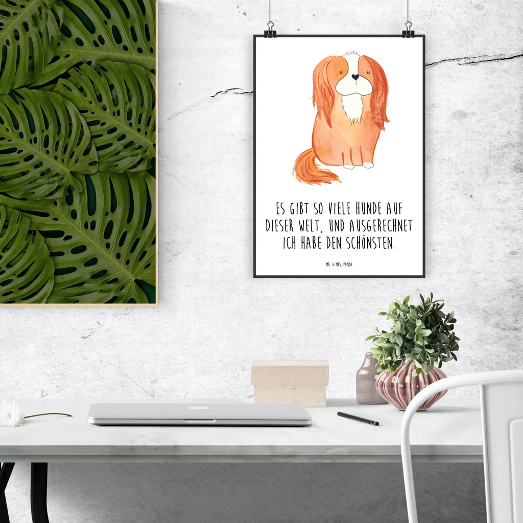 Plakat pies Cavalier King Charles Spaniel Wandposter, wandkunst, Kunstdruck, kunst für die wand, Wanddeko Bild, Posterdruck, Wandbild, wanddeko, Mr. & Mrs. Panda Poster, Bild für Wand, Plakat, wanddruck, grafikposter, kunstdruck poster, Designposter, kunstposter, drucke, Wandschmuck, Bild, Poster, Deko Bild, Wanddekoration, Tierliebhaber, Haustier, Hundemotiv, Hundebesitzer, Hunderasse, Hund, Sprüche, Cavalier King Charles Spaniel, Cockerspaniel, Spruch, Schönster Hund, Spaniel