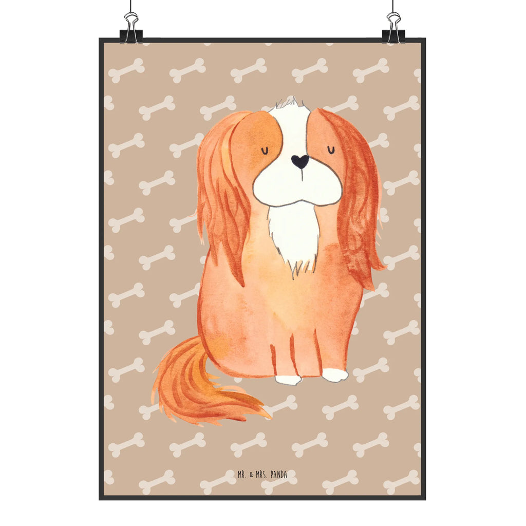 Plakat pies Cavalier King Charles Spaniel Wandposter, wandkunst, Kunstdruck, kunst für die wand, Wanddeko Bild, Posterdruck, Wandbild, wanddeko, Mr. & Mrs. Panda Poster, Bild für Wand, Plakat, wanddruck, grafikposter, kunstdruck poster, Designposter, kunstposter, drucke, Wandschmuck, Bild, Poster, Deko Bild, Wanddekoration, Tierliebhaber, Haustier, Hundemotiv, Hundebesitzer, Hunderasse, Hund, Sprüche, Cavalier King Charles Spaniel, Cockerspaniel, Spruch, Schönster Hund, Spaniel