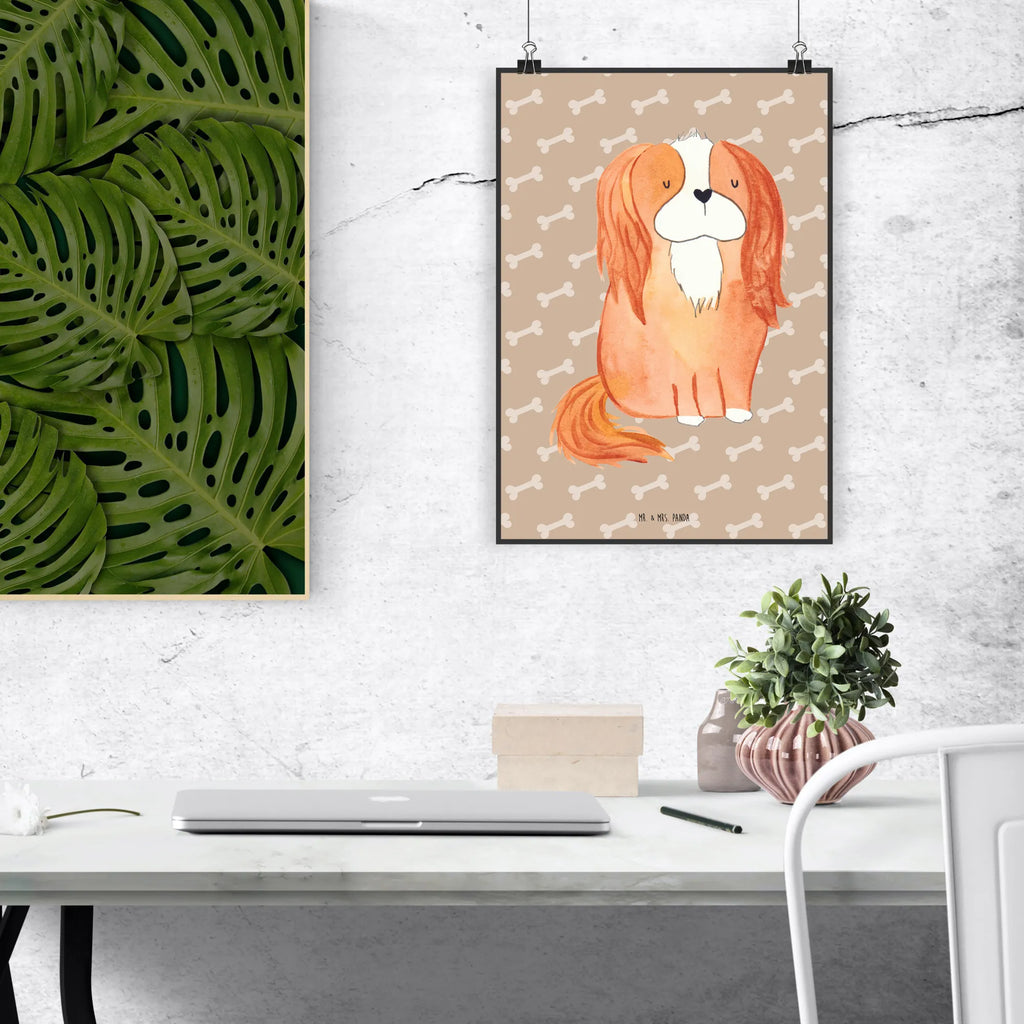Plakat pies Cavalier King Charles Spaniel Wandposter, wandkunst, Kunstdruck, kunst für die wand, Wanddeko Bild, Posterdruck, Wandbild, wanddeko, Mr. & Mrs. Panda Poster, Bild für Wand, Plakat, wanddruck, grafikposter, kunstdruck poster, Designposter, kunstposter, drucke, Wandschmuck, Bild, Poster, Deko Bild, Wanddekoration, Tierliebhaber, Haustier, Hundemotiv, Hundebesitzer, Hunderasse, Hund, Sprüche, Cavalier King Charles Spaniel, Cockerspaniel, Spruch, Schönster Hund, Spaniel