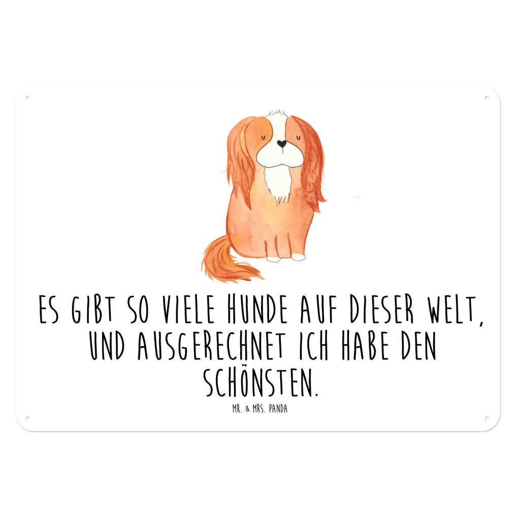 Tin sign Dog Cavalier King Charles Spaniel Blechschild Für Männer, Blechschild Küche, Dekoschild Metall, Blechschild Zum Aufhängen, Wandschild Metall, Türschild Metall, Blechschild Für Frauen, Blechschild, Blechschild Büro, Blechschild Groß, Hunderasse, Hundebesitzer, Hund, Haustier, Sprüche, Tierliebhaber, Hundemotiv, Cockerspaniel, Spruch, Cavalier King Charles Spaniel, Schönster Hund, Spaniel