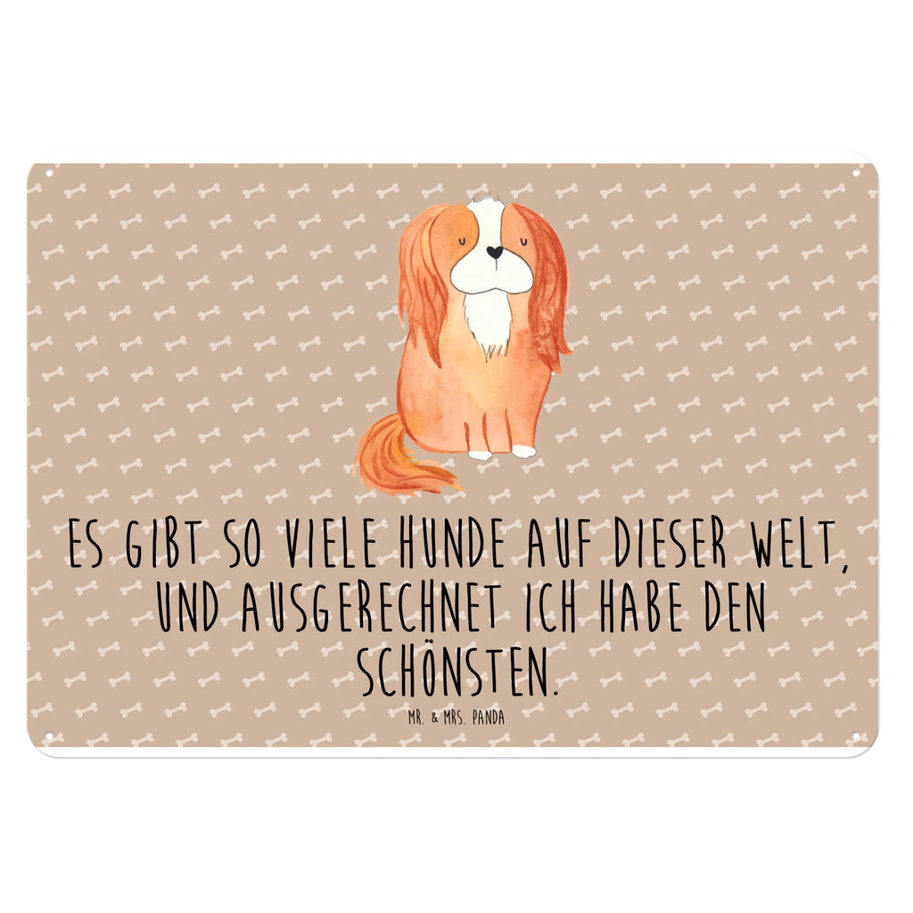 Tin sign Dog Cavalier King Charles Spaniel Blechschild Für Männer, Blechschild Küche, Dekoschild Metall, Blechschild Zum Aufhängen, Wandschild Metall, Türschild Metall, Blechschild Für Frauen, Blechschild, Blechschild Büro, Blechschild Groß, Hunderasse, Hundebesitzer, Hund, Haustier, Sprüche, Tierliebhaber, Hundemotiv, Cockerspaniel, Spruch, Cavalier King Charles Spaniel, Schönster Hund, Spaniel