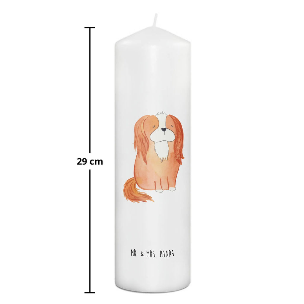 Kerze Hund Cavalier King Charles Spaniel Laternenkerze, Kommunionskerze, Wunschkerze, Dekorative Kerze, Grosse Kerze, Wachskerze, Kerze Mit Spruch, Tischkerze, Dinnerkerze, Schmuckkerze, Dekokerze, Geburtstagskerze, Tafelkerze, Kerze Mit Motiv, Stumpenkerze, Erinnerungslicht, Weihnachtskerze, Handgemachte Kerze, Geburtskerze, Zylinderkerze, Erinnerungskerze, Adventskerze, Blockkerze, Bedruckte Kerze, Gartenkerze, Osterkerze, Hochzeitskerze, Sprüche, Hunderasse, Hundebesitzer, Hundemotiv, Hund, Haustier, Tierliebhaber, Schönster Hund, Cavalier King Charles Spaniel, Spaniel, Spruch, Cockerspaniel