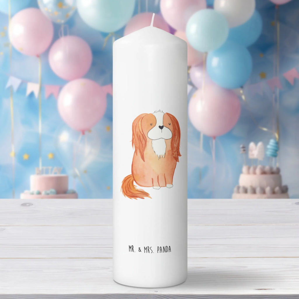 Kerze Hund Cavalier King Charles Spaniel Laternenkerze, Kommunionskerze, Wunschkerze, Dekorative Kerze, Grosse Kerze, Wachskerze, Kerze Mit Spruch, Tischkerze, Dinnerkerze, Schmuckkerze, Dekokerze, Geburtstagskerze, Tafelkerze, Kerze Mit Motiv, Stumpenkerze, Erinnerungslicht, Weihnachtskerze, Handgemachte Kerze, Geburtskerze, Zylinderkerze, Erinnerungskerze, Adventskerze, Blockkerze, Bedruckte Kerze, Gartenkerze, Osterkerze, Hochzeitskerze, Sprüche, Hunderasse, Hundebesitzer, Hundemotiv, Hund, Haustier, Tierliebhaber, Schönster Hund, Cavalier King Charles Spaniel, Spaniel, Spruch, Cockerspaniel