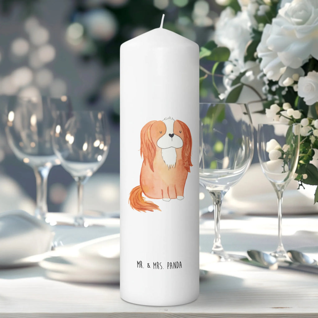 Kerze Hund Cavalier King Charles Spaniel Laternenkerze, Kommunionskerze, Wunschkerze, Dekorative Kerze, Grosse Kerze, Wachskerze, Kerze Mit Spruch, Tischkerze, Dinnerkerze, Schmuckkerze, Dekokerze, Geburtstagskerze, Tafelkerze, Kerze Mit Motiv, Stumpenkerze, Erinnerungslicht, Weihnachtskerze, Handgemachte Kerze, Geburtskerze, Zylinderkerze, Erinnerungskerze, Adventskerze, Blockkerze, Bedruckte Kerze, Gartenkerze, Osterkerze, Hochzeitskerze, Sprüche, Hunderasse, Hundebesitzer, Hundemotiv, Hund, Haustier, Tierliebhaber, Schönster Hund, Cavalier King Charles Spaniel, Spaniel, Spruch, Cockerspaniel