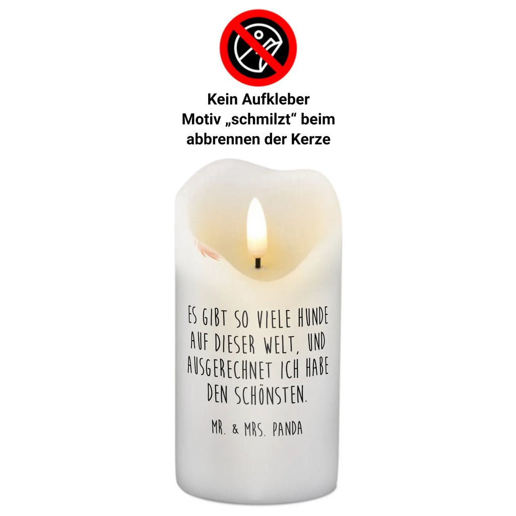 Kerze Hund Cavalier King Charles Spaniel Laternenkerze, Kommunionskerze, Wunschkerze, Dekorative Kerze, Grosse Kerze, Wachskerze, Kerze Mit Spruch, Tischkerze, Dinnerkerze, Schmuckkerze, Dekokerze, Geburtstagskerze, Tafelkerze, Kerze Mit Motiv, Stumpenkerze, Erinnerungslicht, Weihnachtskerze, Handgemachte Kerze, Geburtskerze, Zylinderkerze, Erinnerungskerze, Adventskerze, Blockkerze, Bedruckte Kerze, Gartenkerze, Osterkerze, Hochzeitskerze, Sprüche, Hunderasse, Hundebesitzer, Hundemotiv, Hund, Haustier, Tierliebhaber, Schönster Hund, Cavalier King Charles Spaniel, Spaniel, Spruch, Cockerspaniel