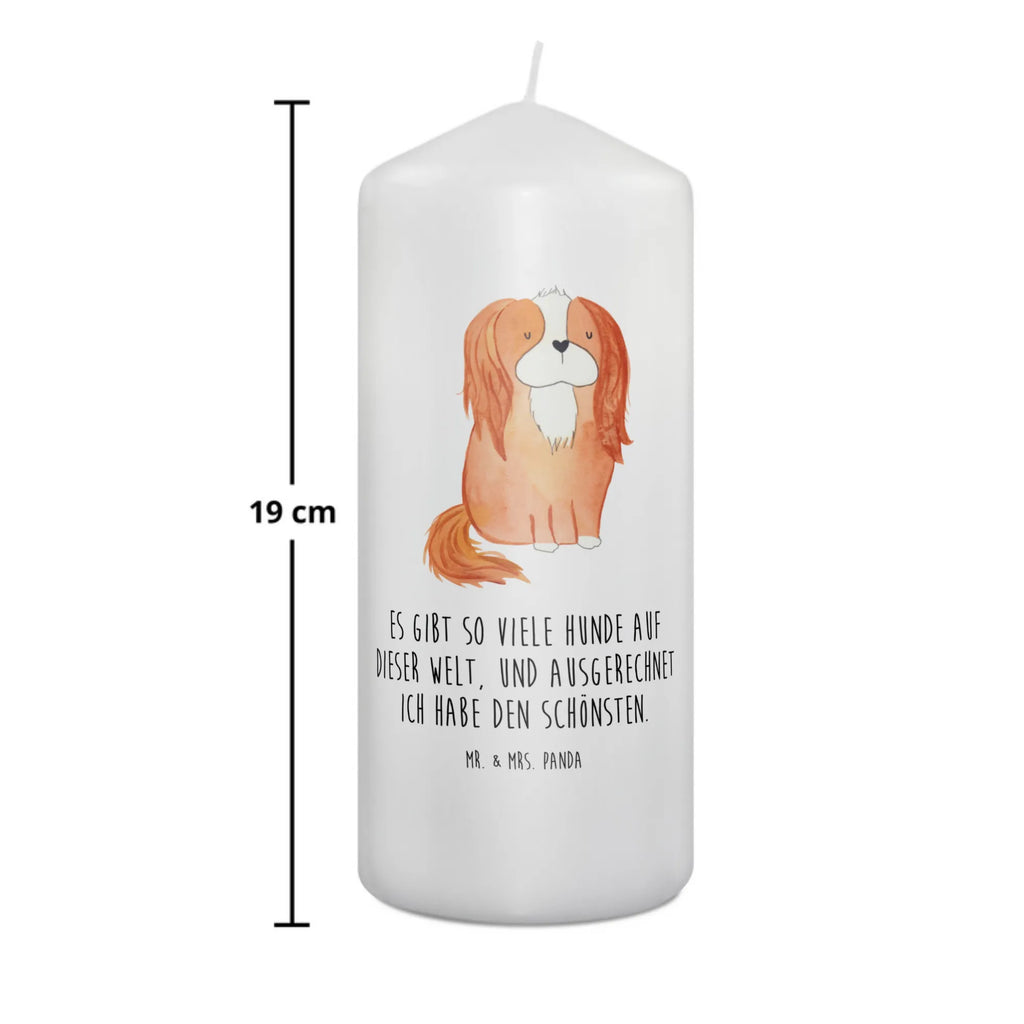 Kerze Hund Cavalier King Charles Spaniel Laternenkerze, Kommunionskerze, Wunschkerze, Dekorative Kerze, Grosse Kerze, Wachskerze, Kerze Mit Spruch, Tischkerze, Dinnerkerze, Schmuckkerze, Dekokerze, Geburtstagskerze, Tafelkerze, Kerze Mit Motiv, Stumpenkerze, Erinnerungslicht, Weihnachtskerze, Handgemachte Kerze, Geburtskerze, Zylinderkerze, Erinnerungskerze, Adventskerze, Blockkerze, Bedruckte Kerze, Gartenkerze, Osterkerze, Hochzeitskerze, Sprüche, Hunderasse, Hundebesitzer, Hundemotiv, Hund, Haustier, Tierliebhaber, Schönster Hund, Cavalier King Charles Spaniel, Spaniel, Spruch, Cockerspaniel