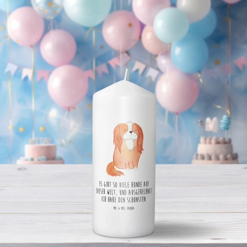 Kerze Hund Cavalier King Charles Spaniel Laternenkerze, Kommunionskerze, Wunschkerze, Dekorative Kerze, Grosse Kerze, Wachskerze, Kerze Mit Spruch, Tischkerze, Dinnerkerze, Schmuckkerze, Dekokerze, Geburtstagskerze, Tafelkerze, Kerze Mit Motiv, Stumpenkerze, Erinnerungslicht, Weihnachtskerze, Handgemachte Kerze, Geburtskerze, Zylinderkerze, Erinnerungskerze, Adventskerze, Blockkerze, Bedruckte Kerze, Gartenkerze, Osterkerze, Hochzeitskerze, Sprüche, Hunderasse, Hundebesitzer, Hundemotiv, Hund, Haustier, Tierliebhaber, Schönster Hund, Cavalier King Charles Spaniel, Spaniel, Spruch, Cockerspaniel
