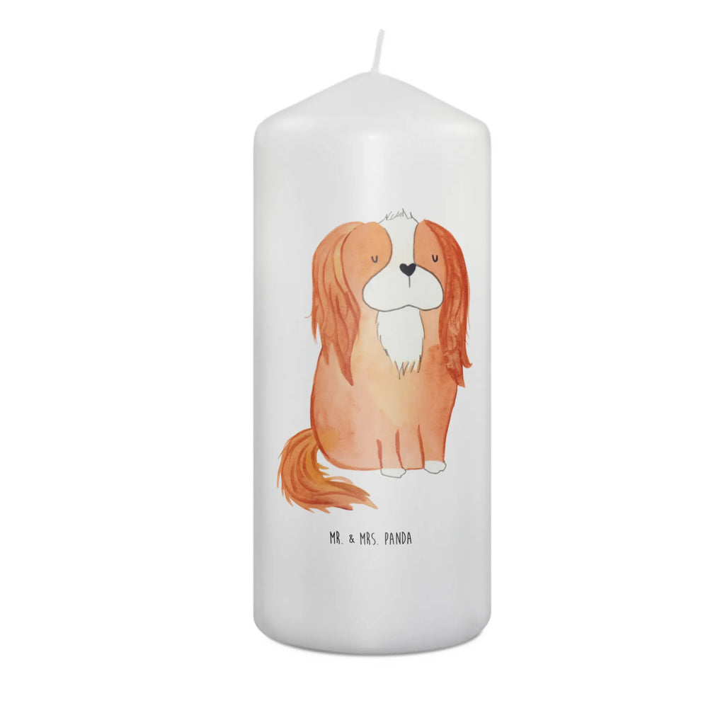Kerze Hund Cavalier King Charles Spaniel Laternenkerze, Kommunionskerze, Wunschkerze, Dekorative Kerze, Grosse Kerze, Wachskerze, Kerze Mit Spruch, Tischkerze, Dinnerkerze, Schmuckkerze, Dekokerze, Geburtstagskerze, Tafelkerze, Kerze Mit Motiv, Stumpenkerze, Erinnerungslicht, Weihnachtskerze, Handgemachte Kerze, Geburtskerze, Zylinderkerze, Erinnerungskerze, Adventskerze, Blockkerze, Bedruckte Kerze, Gartenkerze, Osterkerze, Hochzeitskerze, Sprüche, Hunderasse, Hundebesitzer, Hundemotiv, Hund, Haustier, Tierliebhaber, Schönster Hund, Cavalier King Charles Spaniel, Spaniel, Spruch, Cockerspaniel