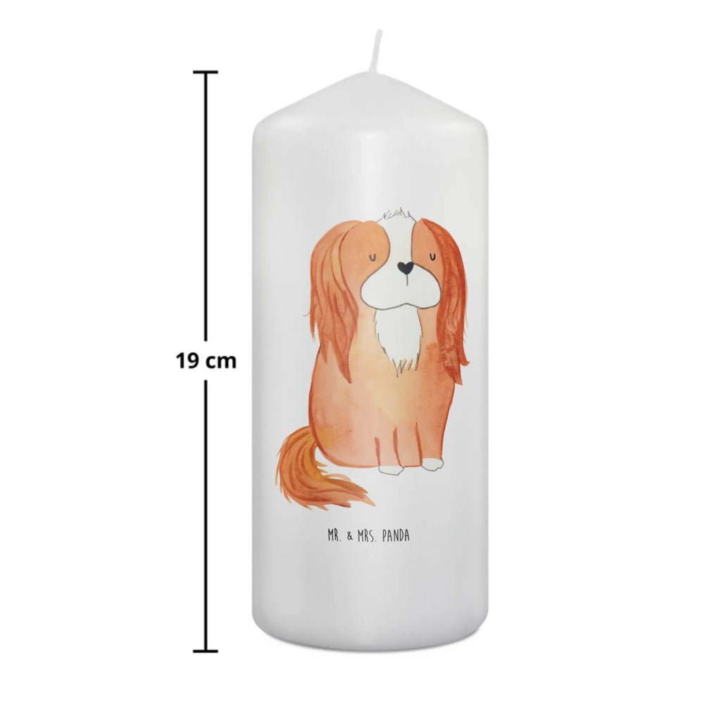Kerze Hund Cavalier King Charles Spaniel Laternenkerze, Kommunionskerze, Wunschkerze, Dekorative Kerze, Grosse Kerze, Wachskerze, Kerze Mit Spruch, Tischkerze, Dinnerkerze, Schmuckkerze, Dekokerze, Geburtstagskerze, Tafelkerze, Kerze Mit Motiv, Stumpenkerze, Erinnerungslicht, Weihnachtskerze, Handgemachte Kerze, Geburtskerze, Zylinderkerze, Erinnerungskerze, Adventskerze, Blockkerze, Bedruckte Kerze, Gartenkerze, Osterkerze, Hochzeitskerze, Sprüche, Hunderasse, Hundebesitzer, Hundemotiv, Hund, Haustier, Tierliebhaber, Schönster Hund, Cavalier King Charles Spaniel, Spaniel, Spruch, Cockerspaniel