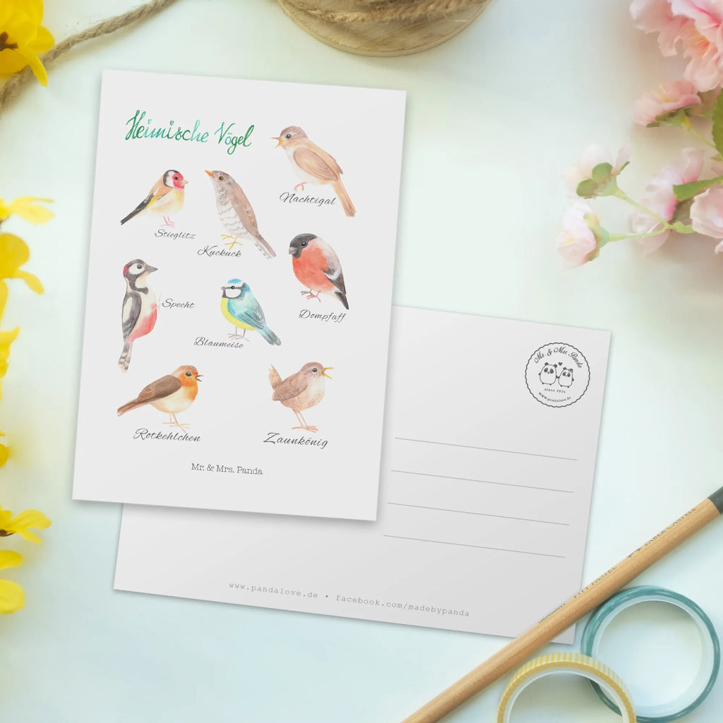 Postcard Native birds card, invitation card, invitation, paper, postcards, gift, Postcard, letter, gift card, Nature, joy of life, love, Native birds, Birds