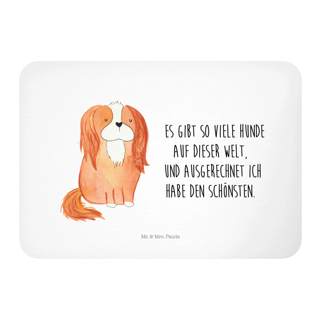 Magnes pies Cavalier King Charles Spaniel Fridge Magnet, zettelhalter, wandmagnet, holz kühlschrankmagnet, tafelmagnet, spruchmagnet, Dekomagnet, whiteboardmagnet, Pinnwandmagnet, küchenmagnet, designmagnet, holzmagnet, Notizhalter, haftmagnet, mdf magnet, büromagnet, bildmagnet, notizmagnet, Kühlschrankmagnet, rechteckmagnet, holz whiteboardmagnet, einkaufszettelmagnet, memomagnet, magnet, Hunderasse, Hundebesitzer, Sprüche, Hundemotiv, Haustier, Tierliebhaber, Hund, Spaniel, Cavalier King Charles Spaniel, Spruch, Cockerspaniel, Schönster Hund