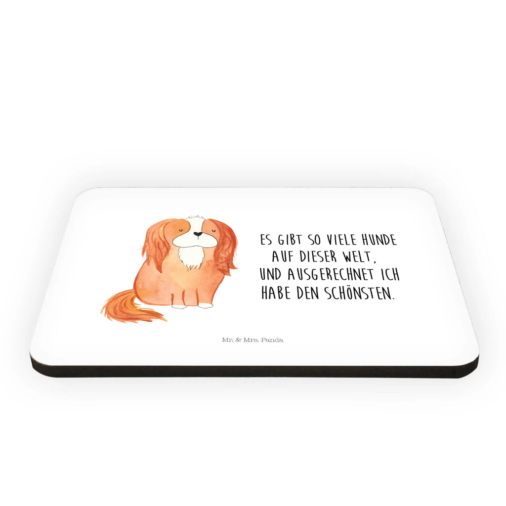 Magnes pies Cavalier King Charles Spaniel Fridge Magnet, zettelhalter, wandmagnet, holz kühlschrankmagnet, tafelmagnet, spruchmagnet, Dekomagnet, whiteboardmagnet, Pinnwandmagnet, küchenmagnet, designmagnet, holzmagnet, Notizhalter, haftmagnet, mdf magnet, büromagnet, bildmagnet, notizmagnet, Kühlschrankmagnet, rechteckmagnet, holz whiteboardmagnet, einkaufszettelmagnet, memomagnet, magnet, Hunderasse, Hundebesitzer, Sprüche, Hundemotiv, Haustier, Tierliebhaber, Hund, Spaniel, Cavalier King Charles Spaniel, Spruch, Cockerspaniel, Schönster Hund