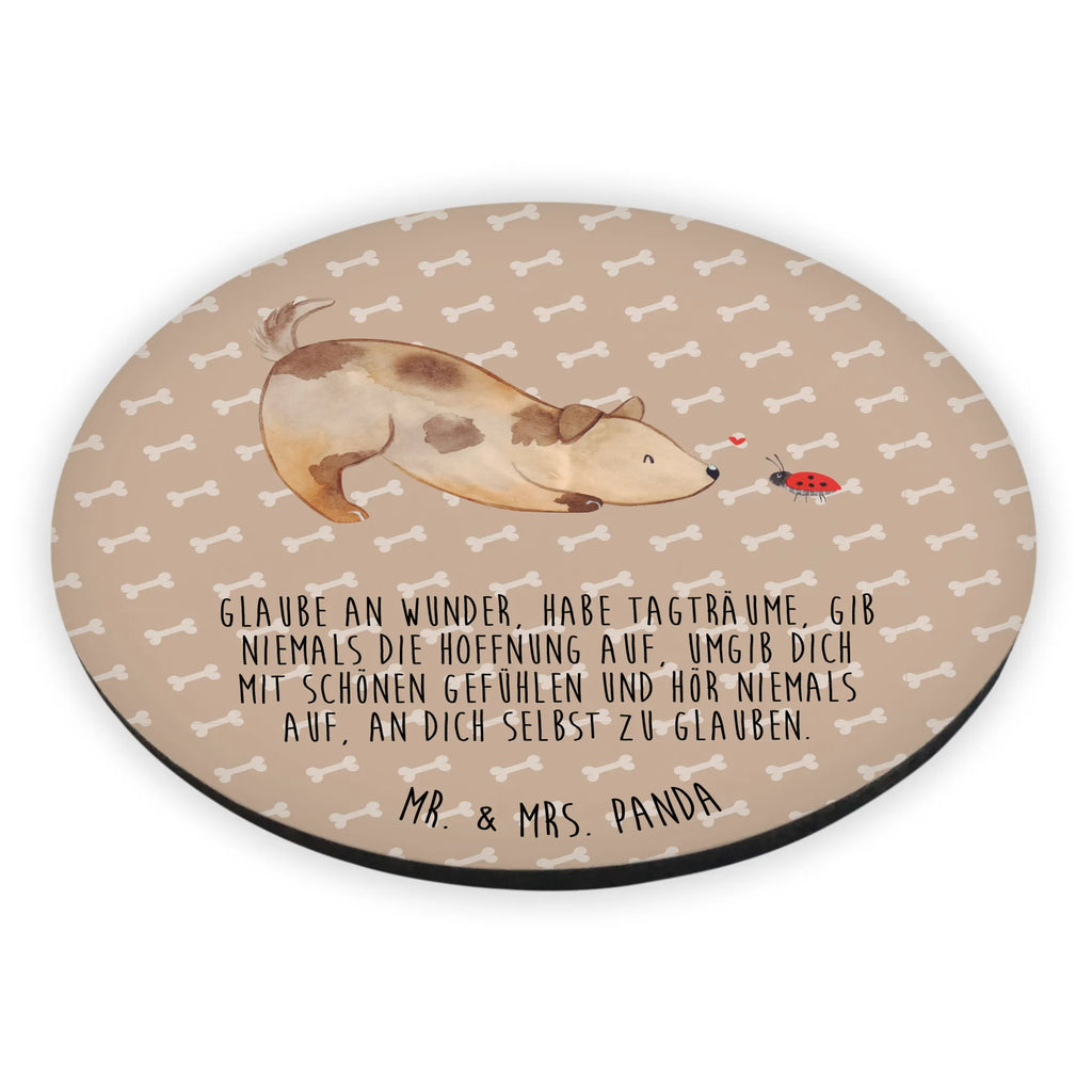 Okrągły magnes pies biedronka Notiz Magnet, Kühlschrankmagnet, Pinnwandmagnet, Dekomagnet, Souvenir Magnet, Kühlschrank Dekoration, Whiteboard Magnet, Motivmagnete, Hund, Hundemotiv, Haustier, Hunderasse, Tierliebhaber, Hundebesitzer, Sprüche, Mischlinghund, Hunde, Mischling, Hundespruch, Marienkäfer